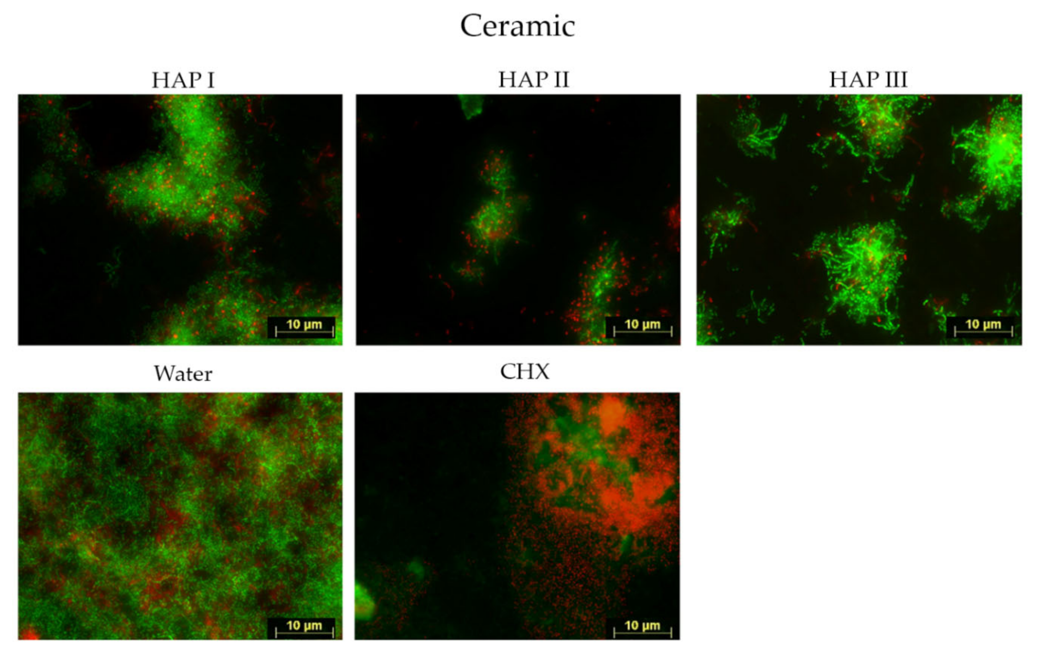 Nanomaterials 11 02452 g004