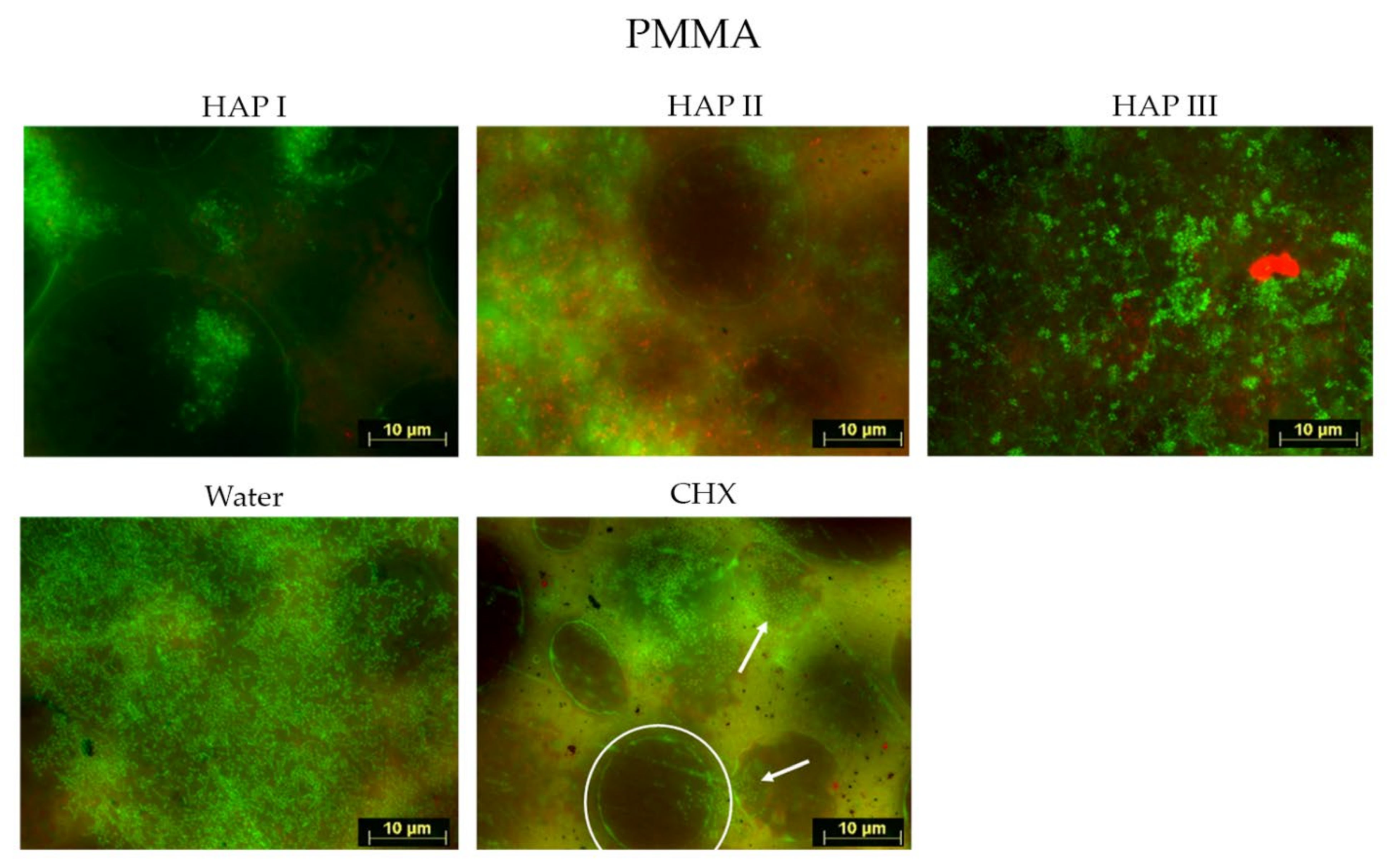 Nanomaterials 11 02452 g005