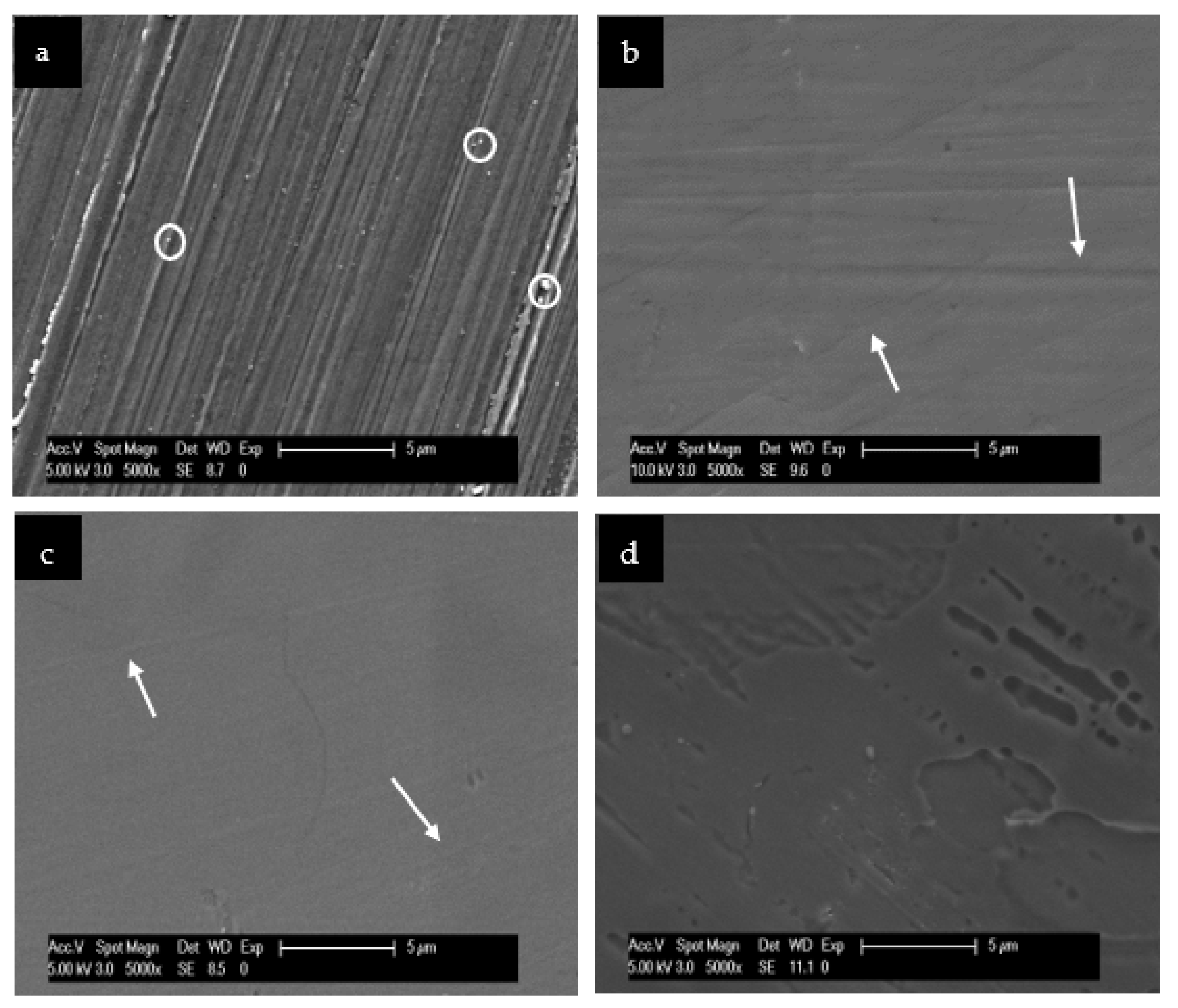 Nanomaterials 11 02452 g008