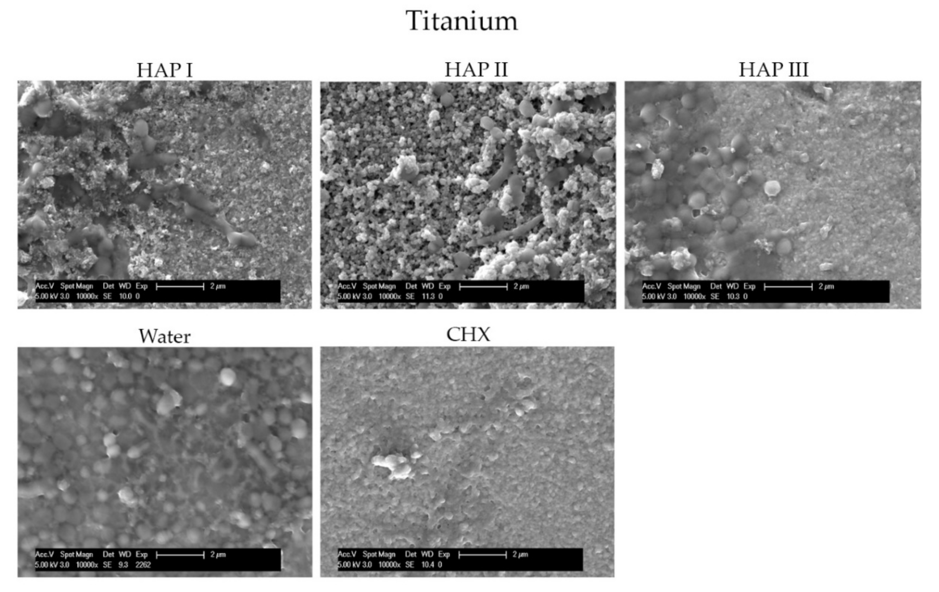 Nanomaterials 11 02452 g010