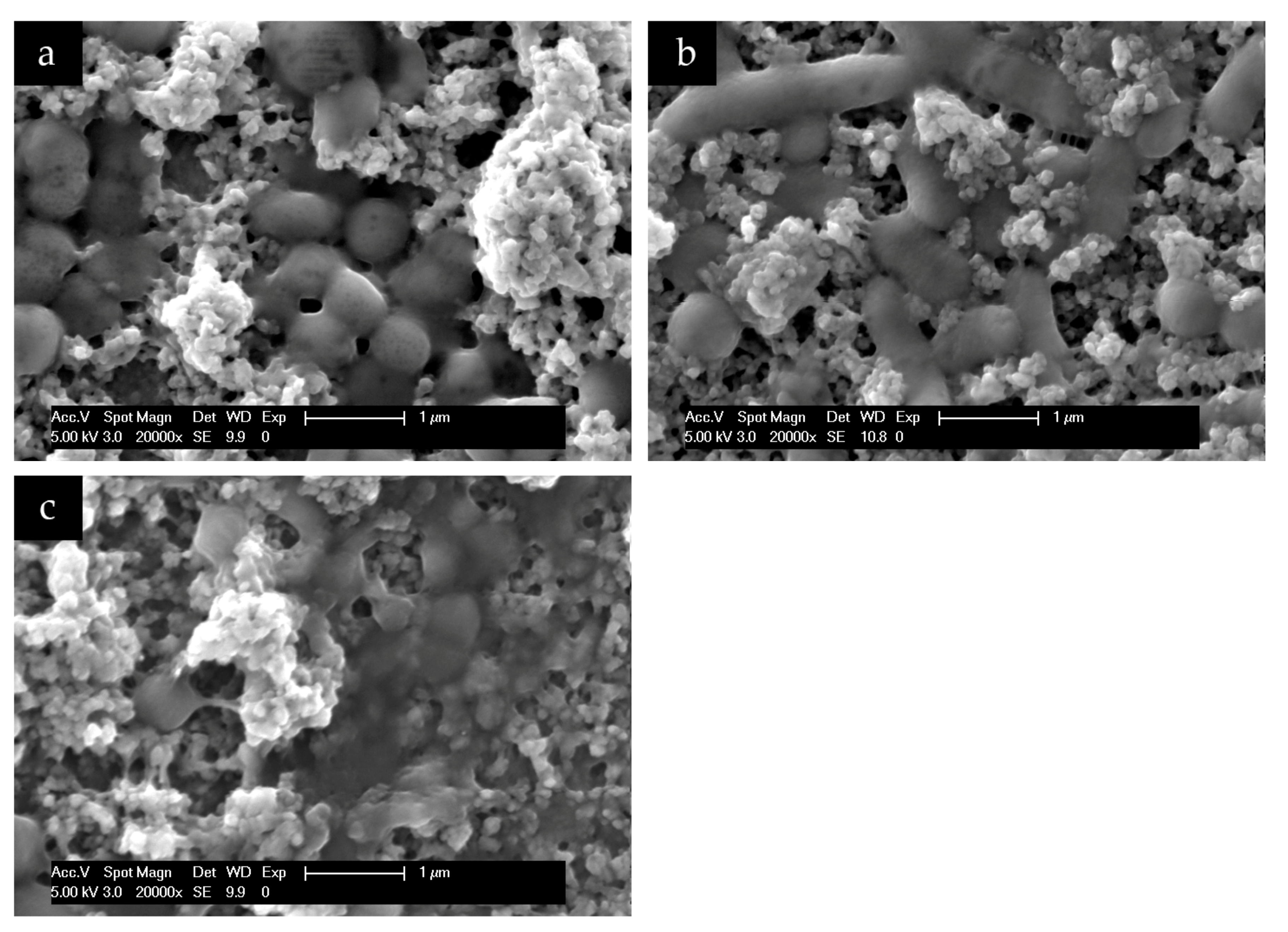 Nanomaterials 11 02452 g013