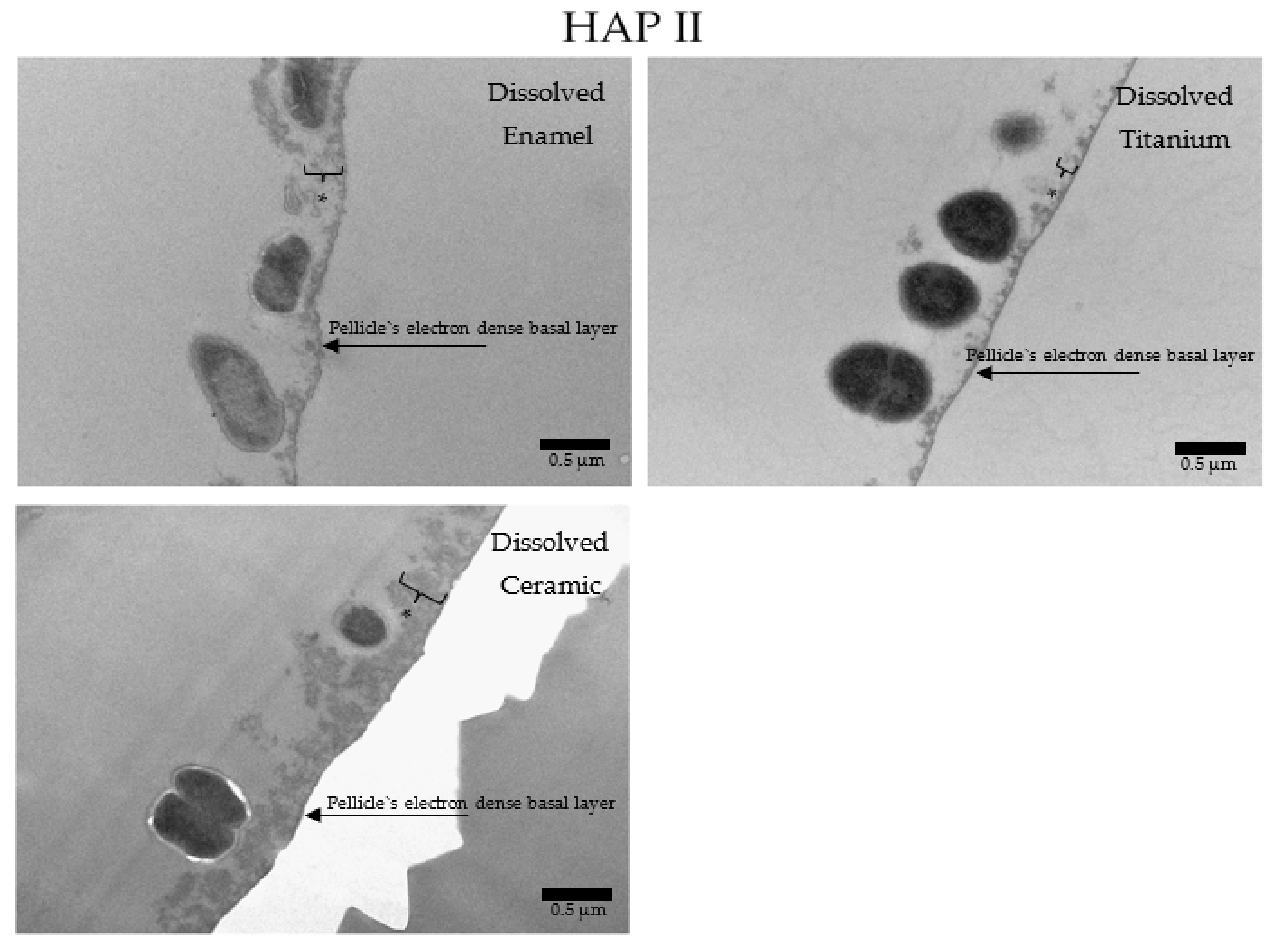 Nanomaterials 11 02452 g016