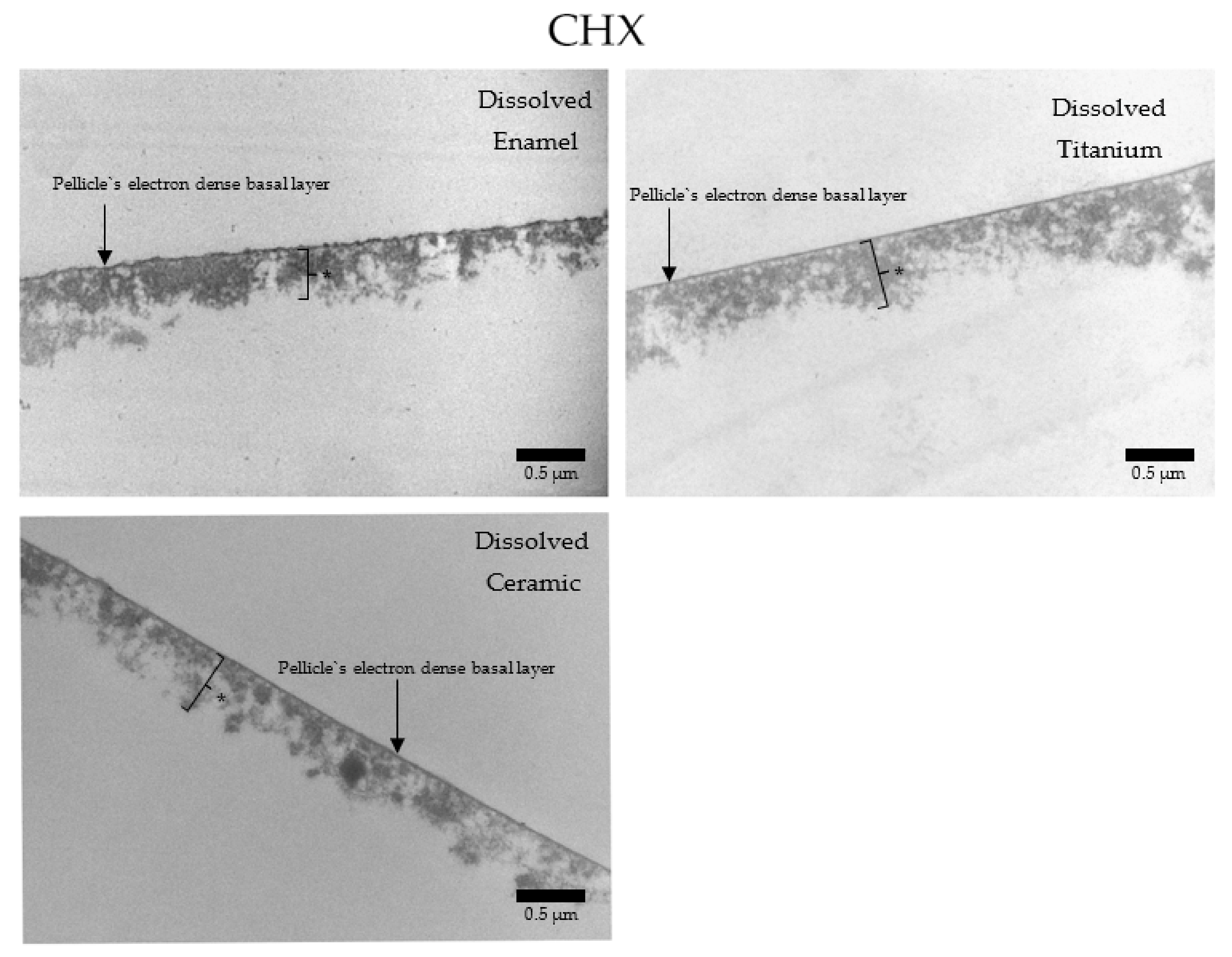 Nanomaterials 11 02452 g018