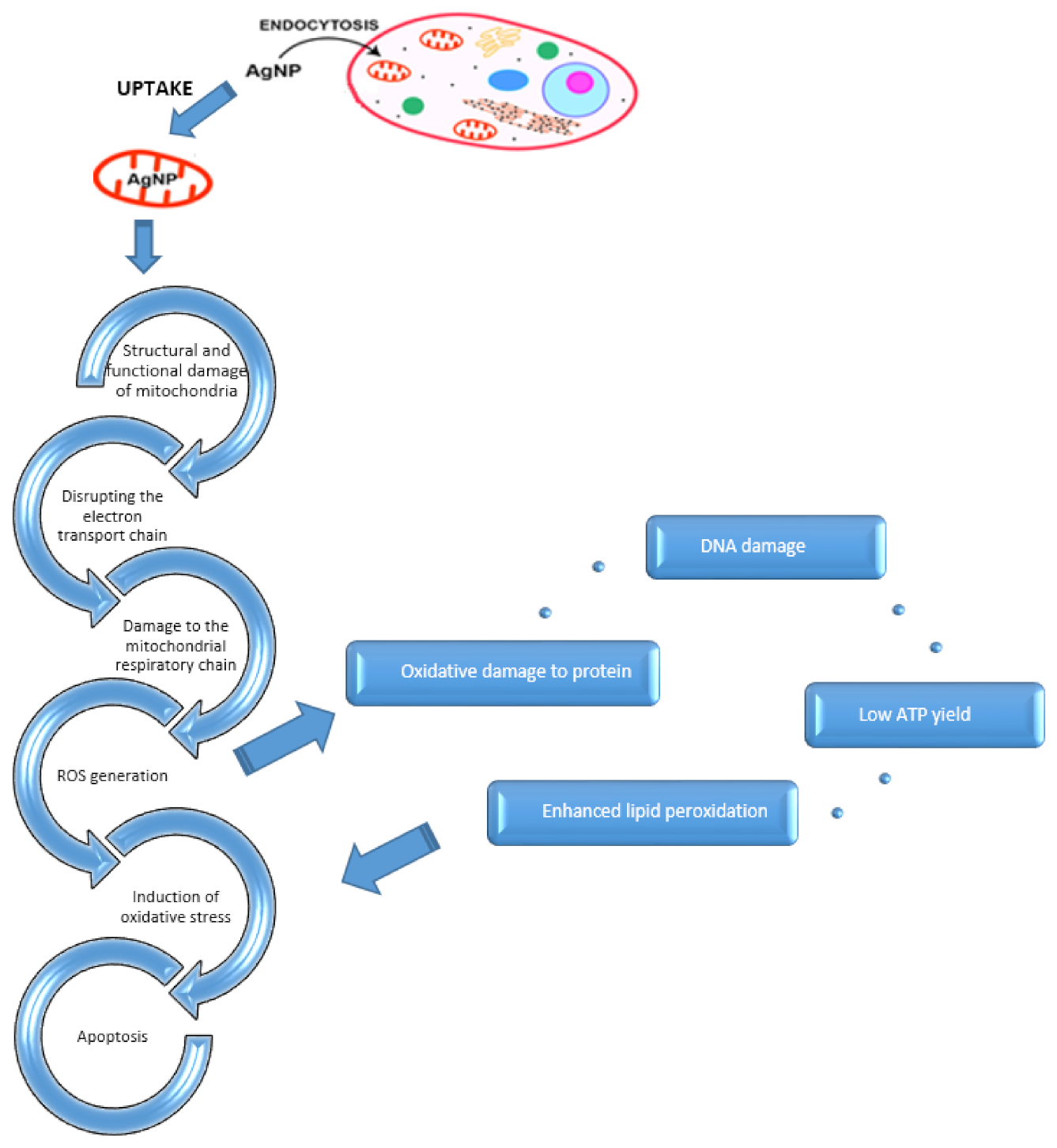 PDF) Perspective Chapter: Gold Nanoparticles Market: A Global