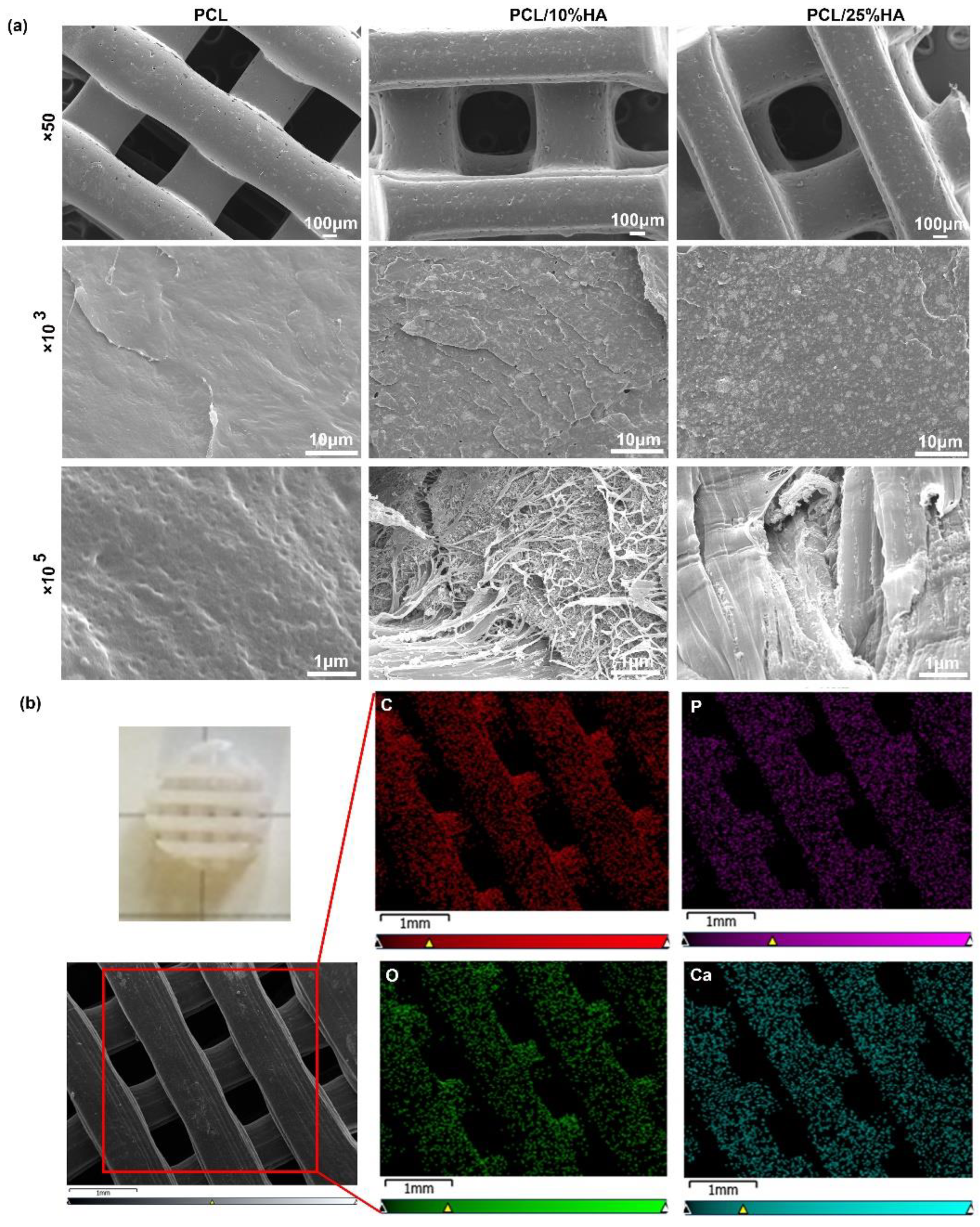 Nanomaterials 11 02456 g001