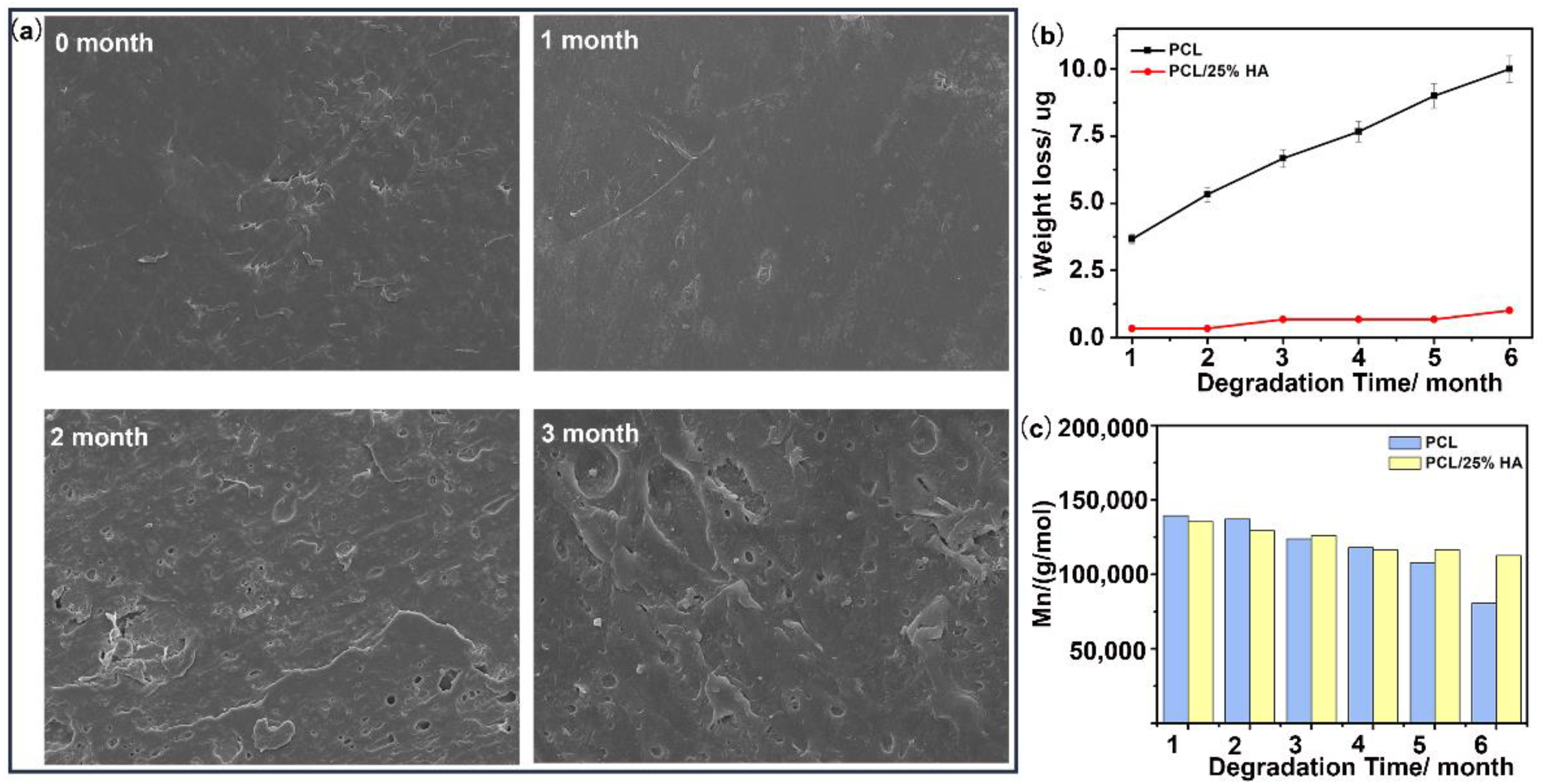 Nanomaterials 11 02456 g005