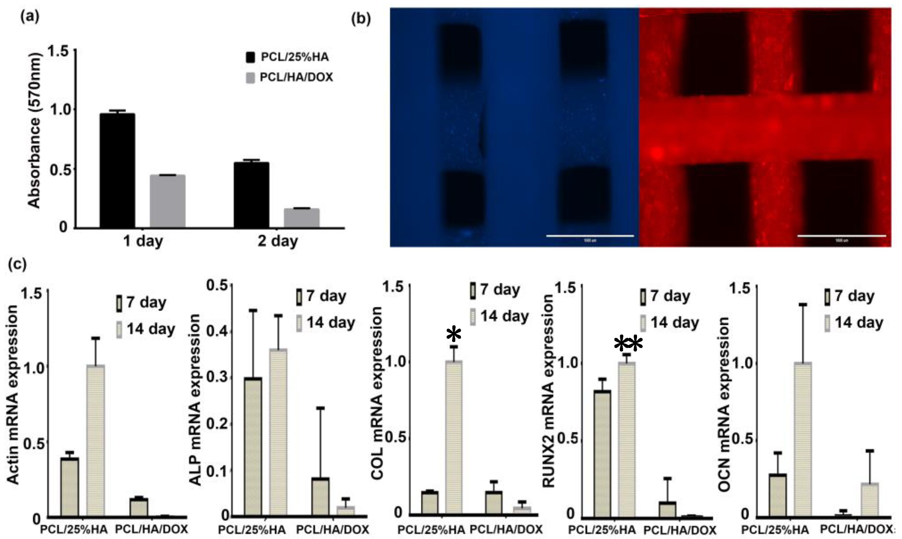 Nanomaterials 11 02456 g007