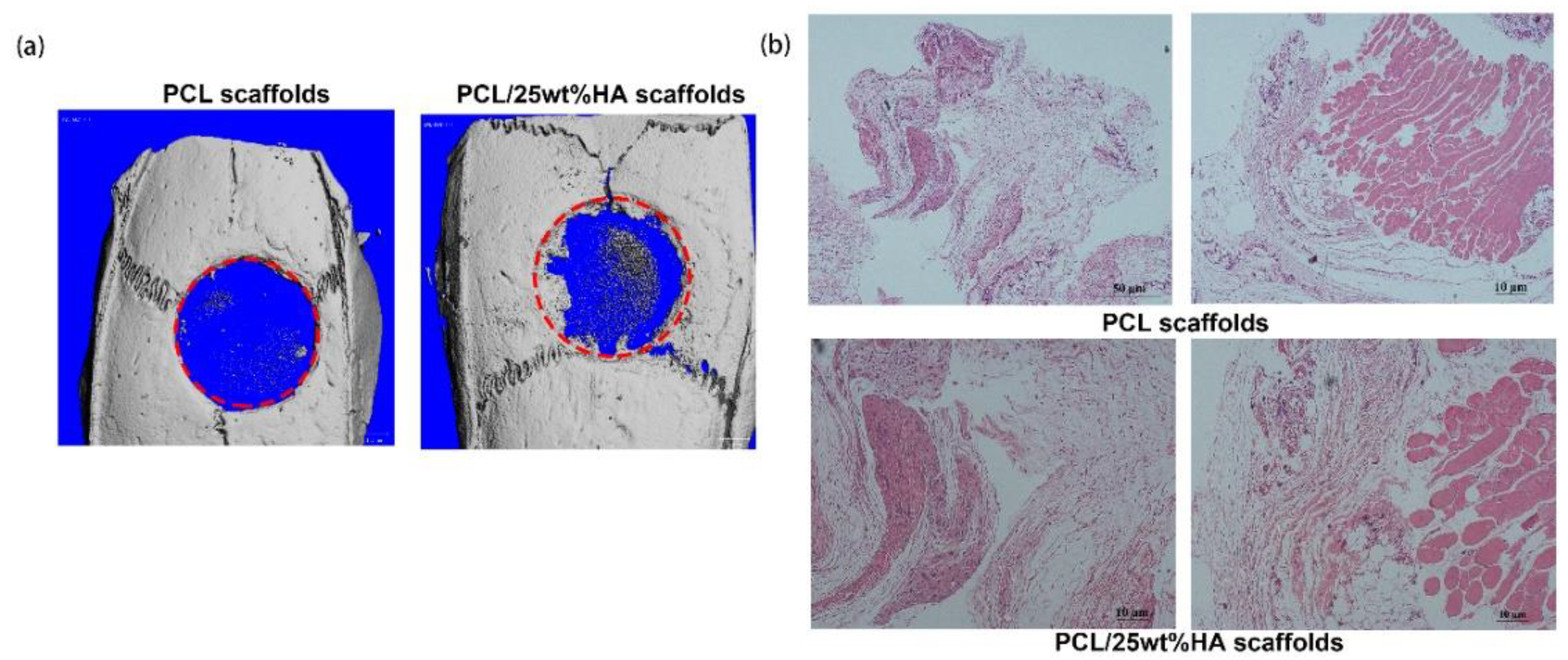 Nanomaterials 11 02456 g008