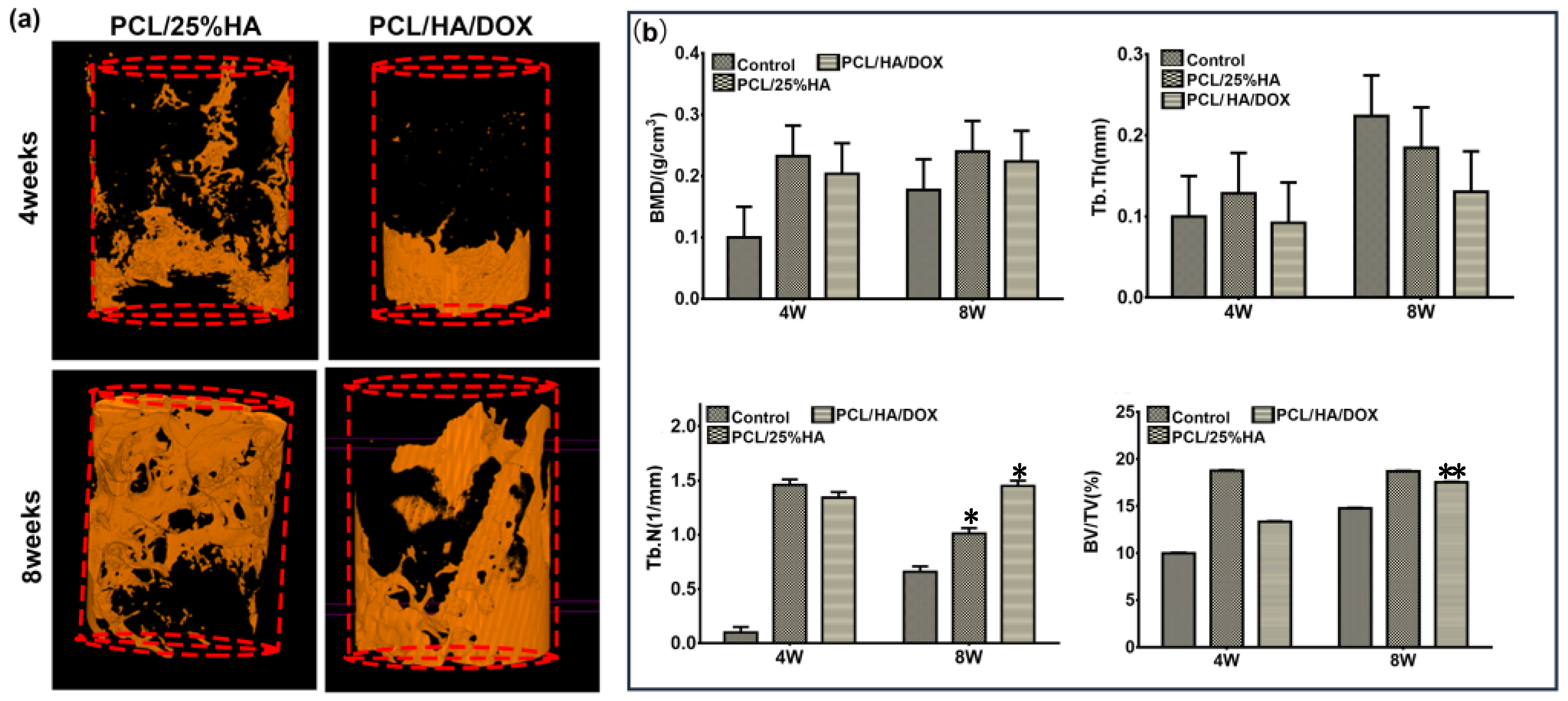 Nanomaterials 11 02456 g009