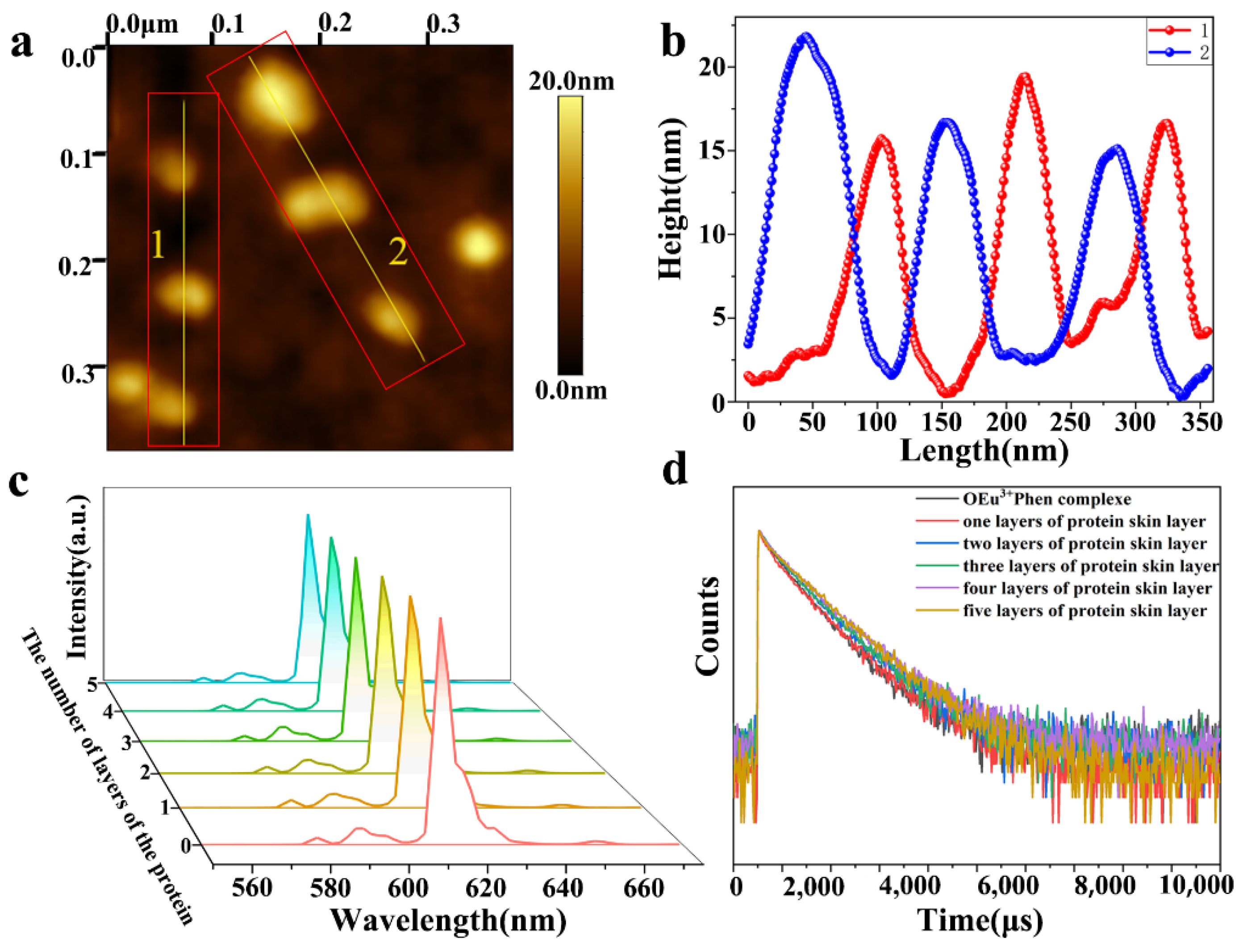 Nanomaterials 11 02462 g005 550