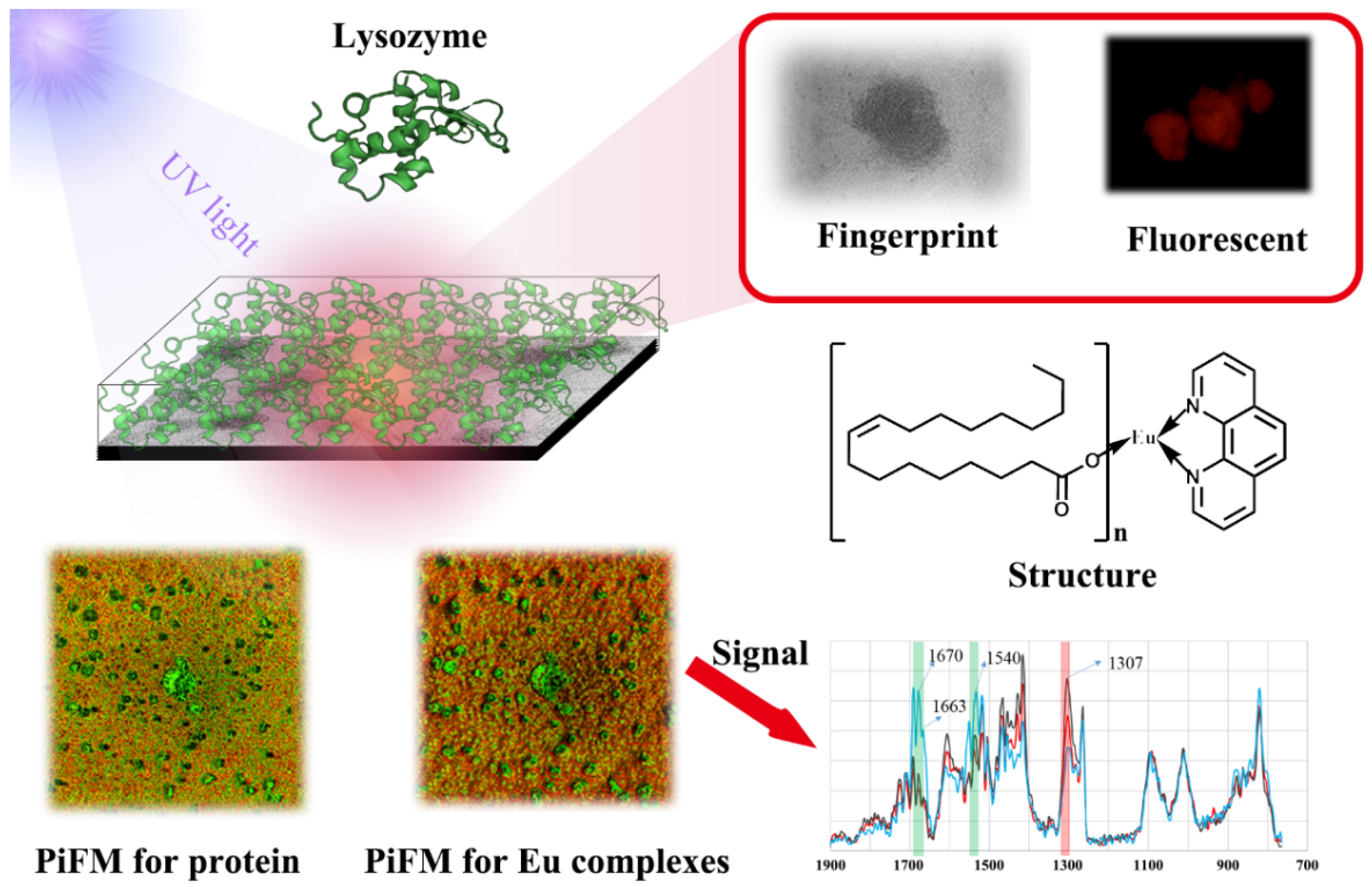 Nanomaterials 11 02462 g006 550