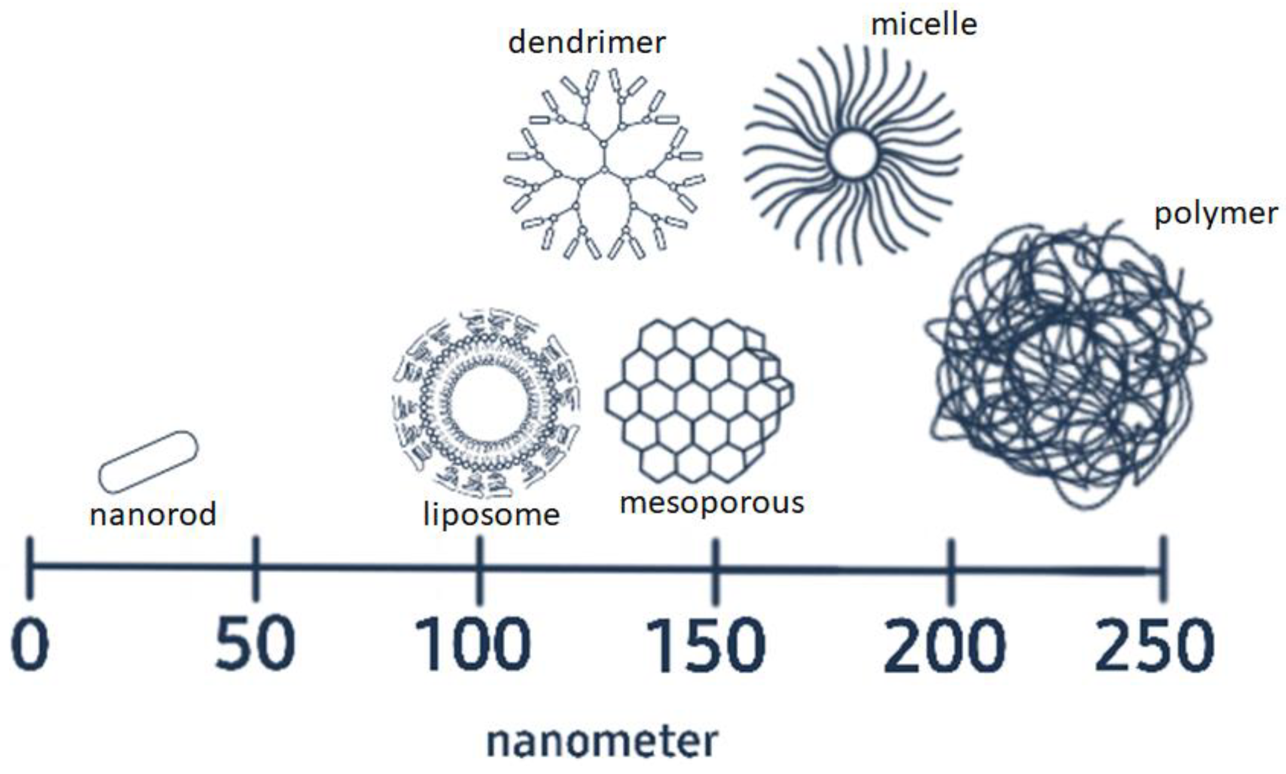 Nanomaterials 11 02467 g001