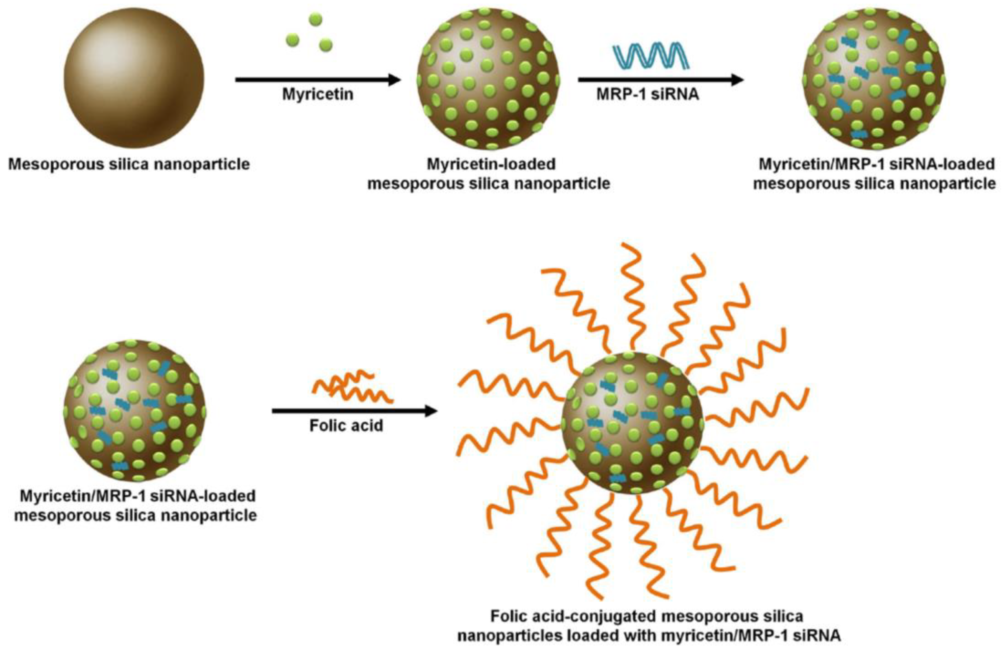 Nanomaterials 11 02467 g002