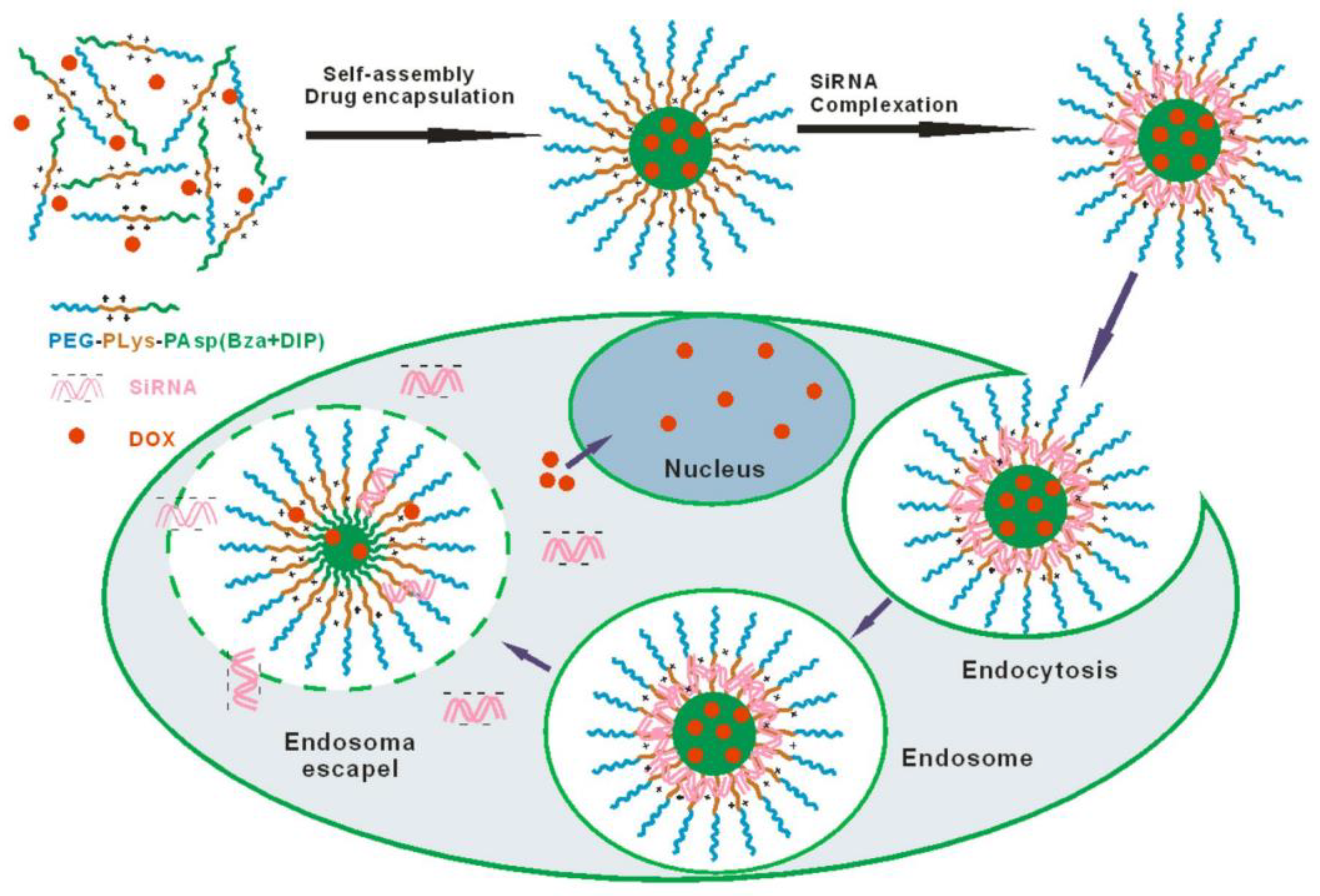 Nanomaterials 11 02467 g003
