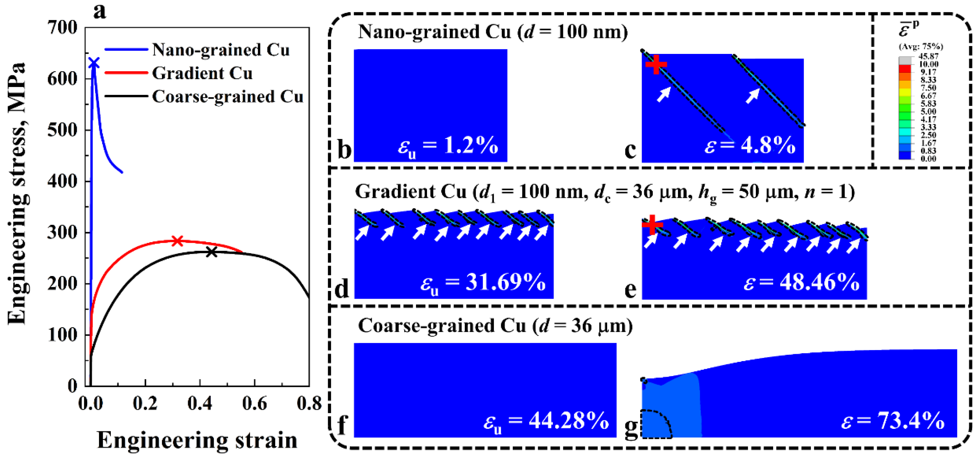 Nanomaterials 11 02468 g005