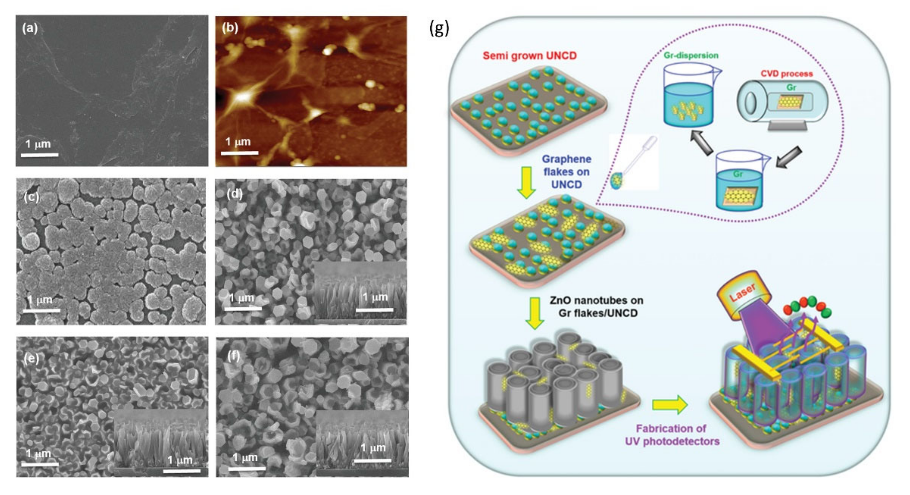 Nanomaterials 11 02469 g005