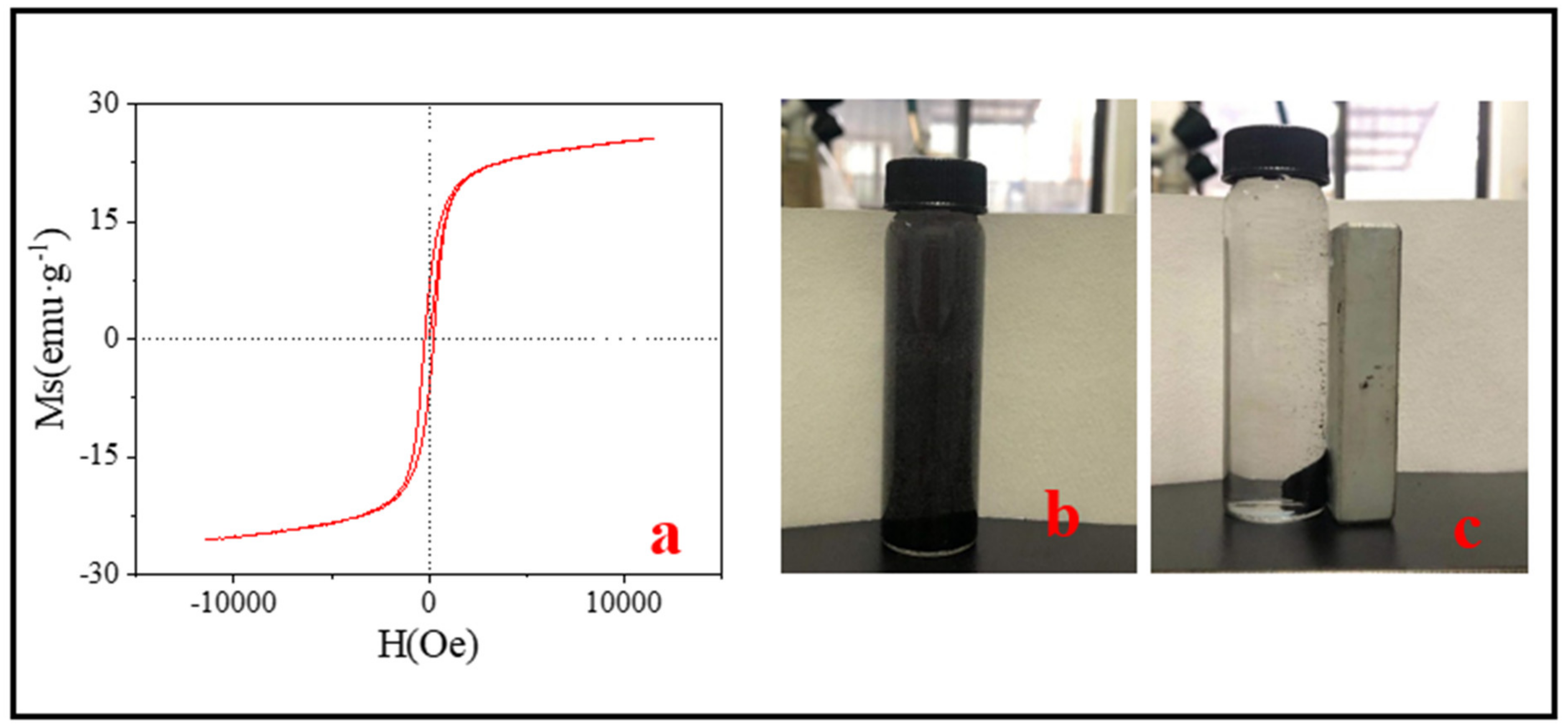 Nanomaterials 11 02473 g004