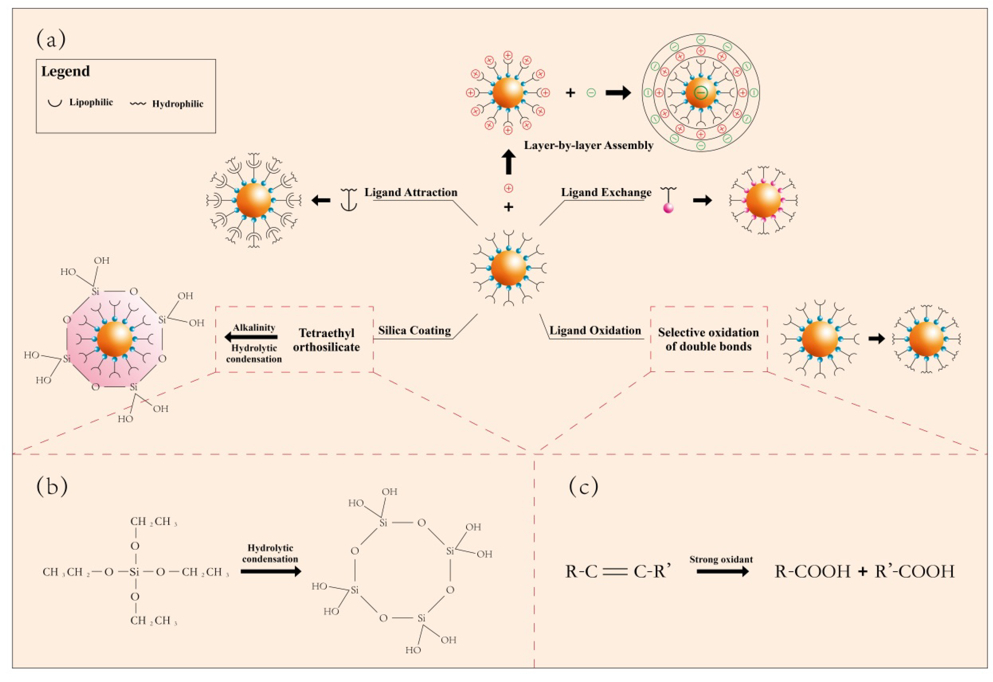Nanomaterials 11 02474 g003 Nanomaterials 11 02474 g003