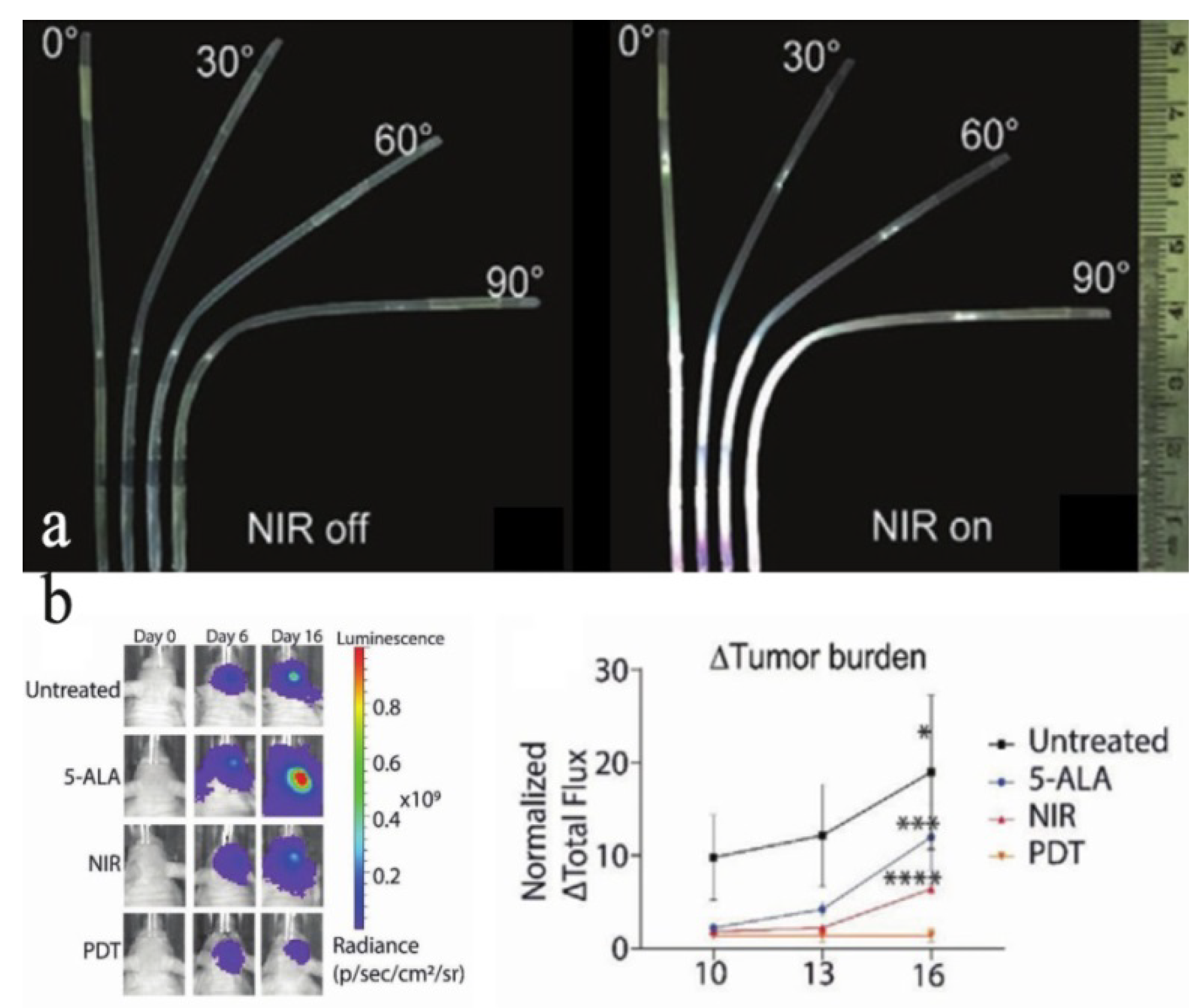 Nanomaterials 11 02474 g004 Nanomaterials 11 02474 g004