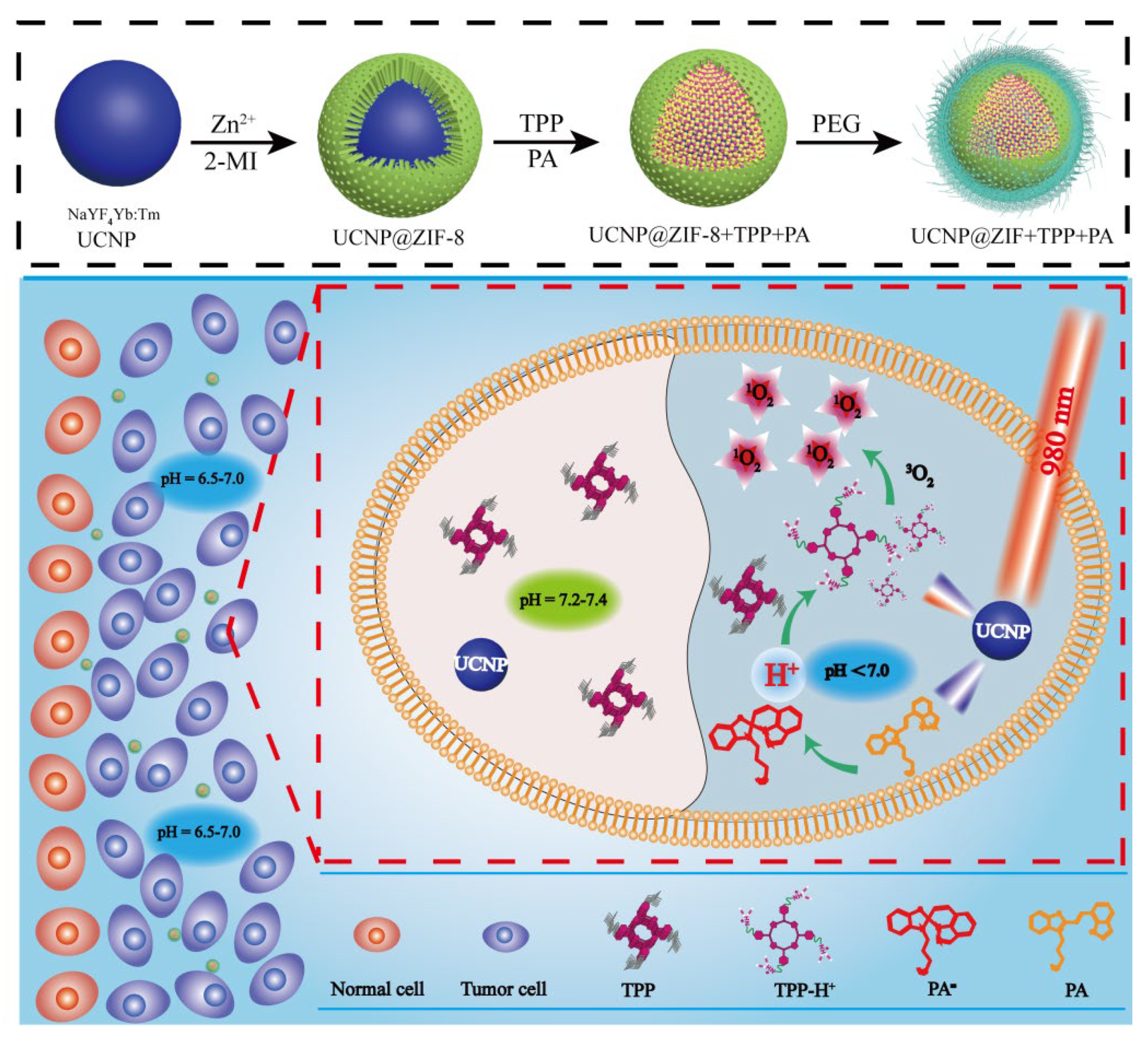 Nanomaterials 11 02474 g005 Nanomaterials 11 02474 g005