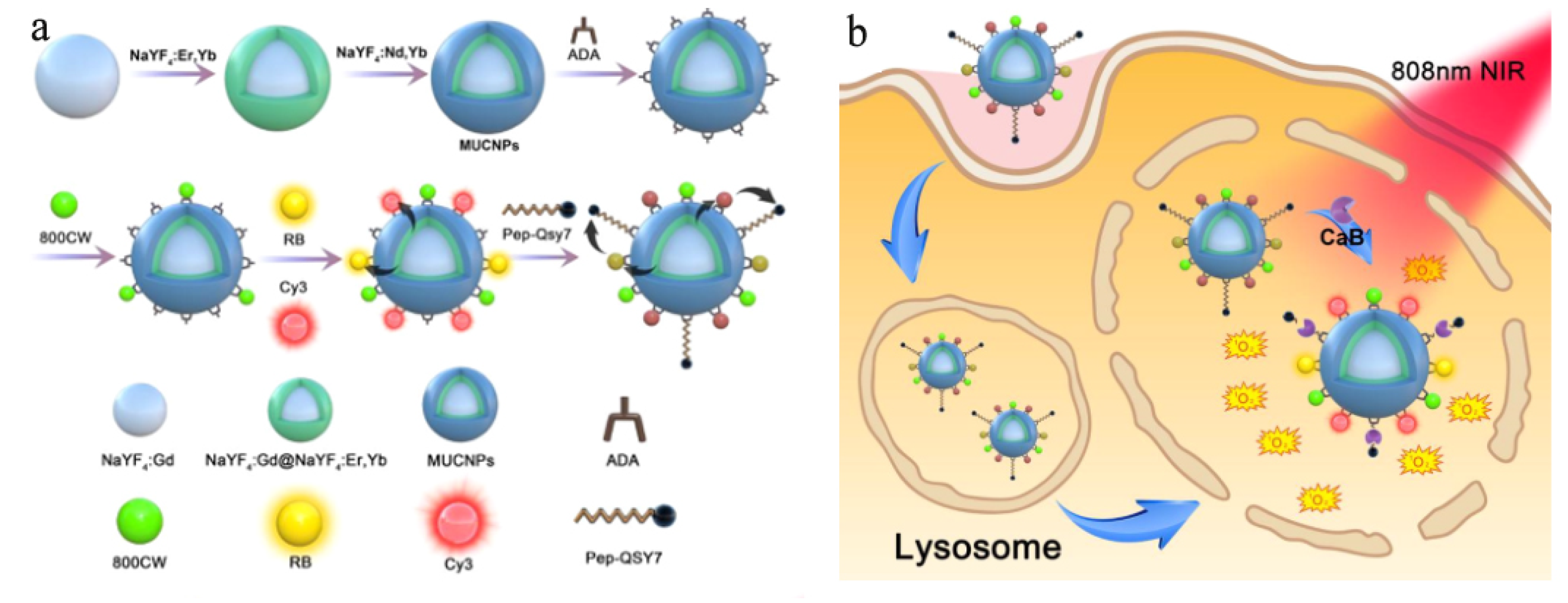 Nanomaterials 11 02474 g006 Nanomaterials 11 02474 g006