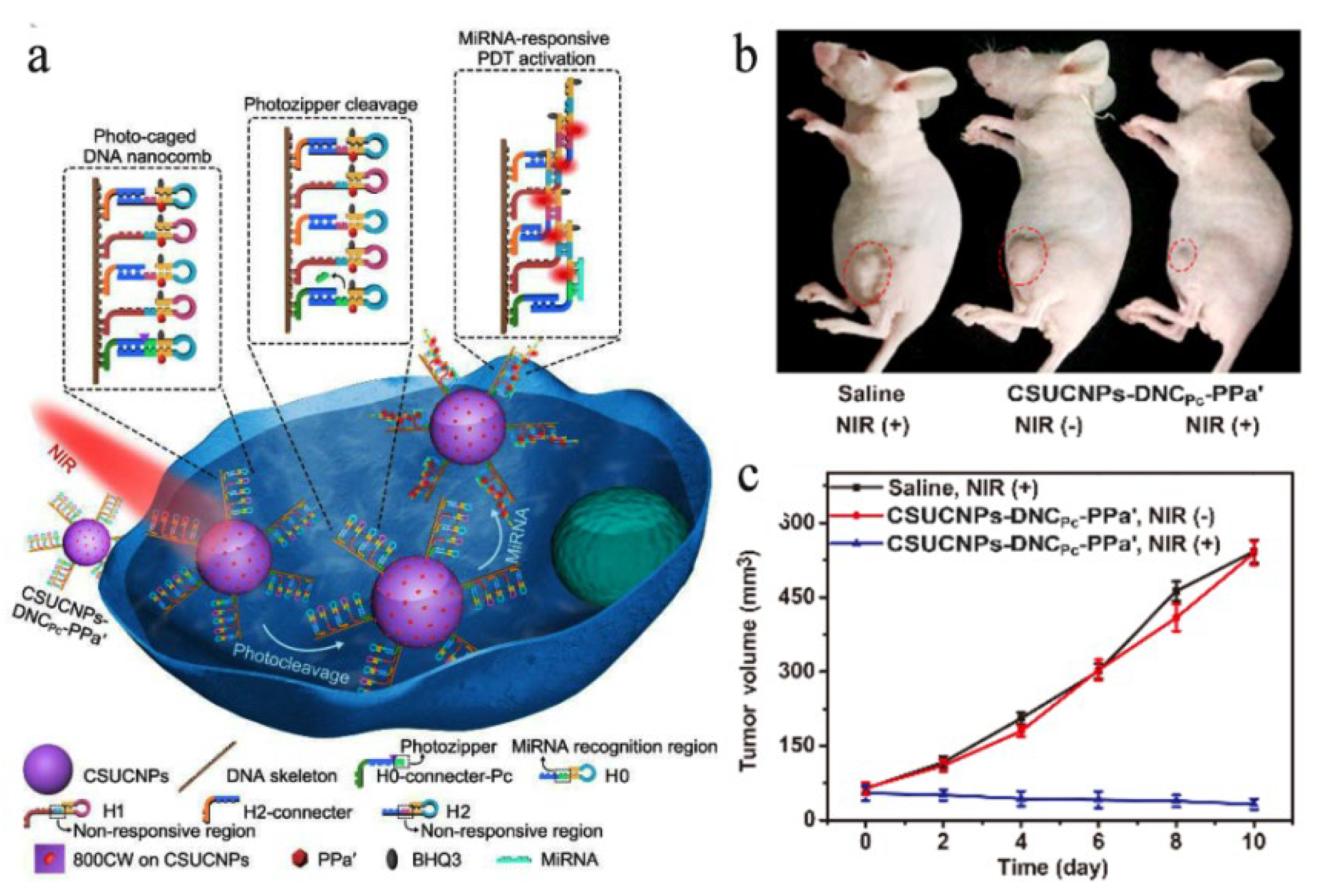 Nanomaterials 11 02474 g007 Nanomaterials 11 02474 g007