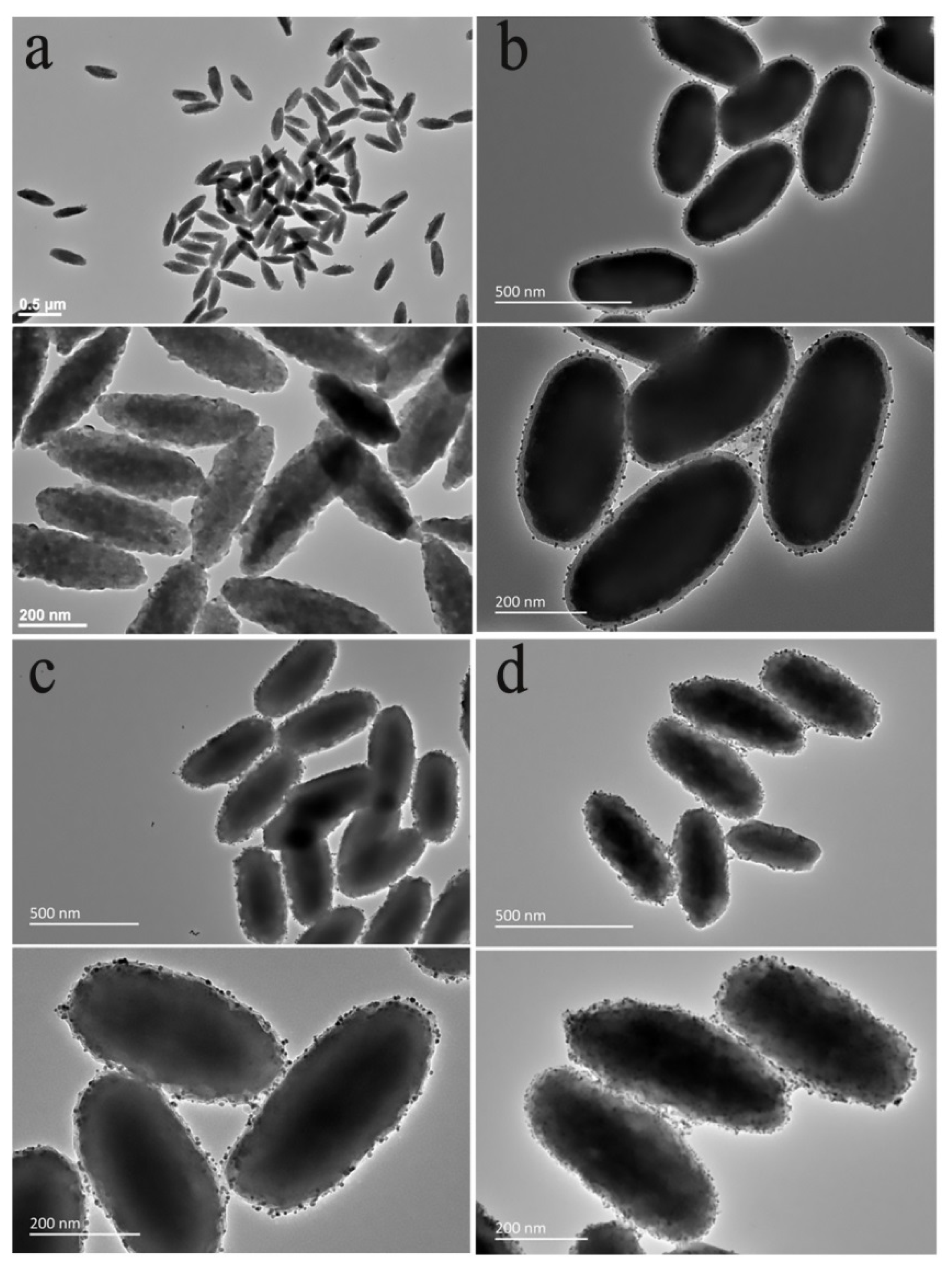 Nanomaterials 11 02474 g008 Nanomaterials 11 02474 g008