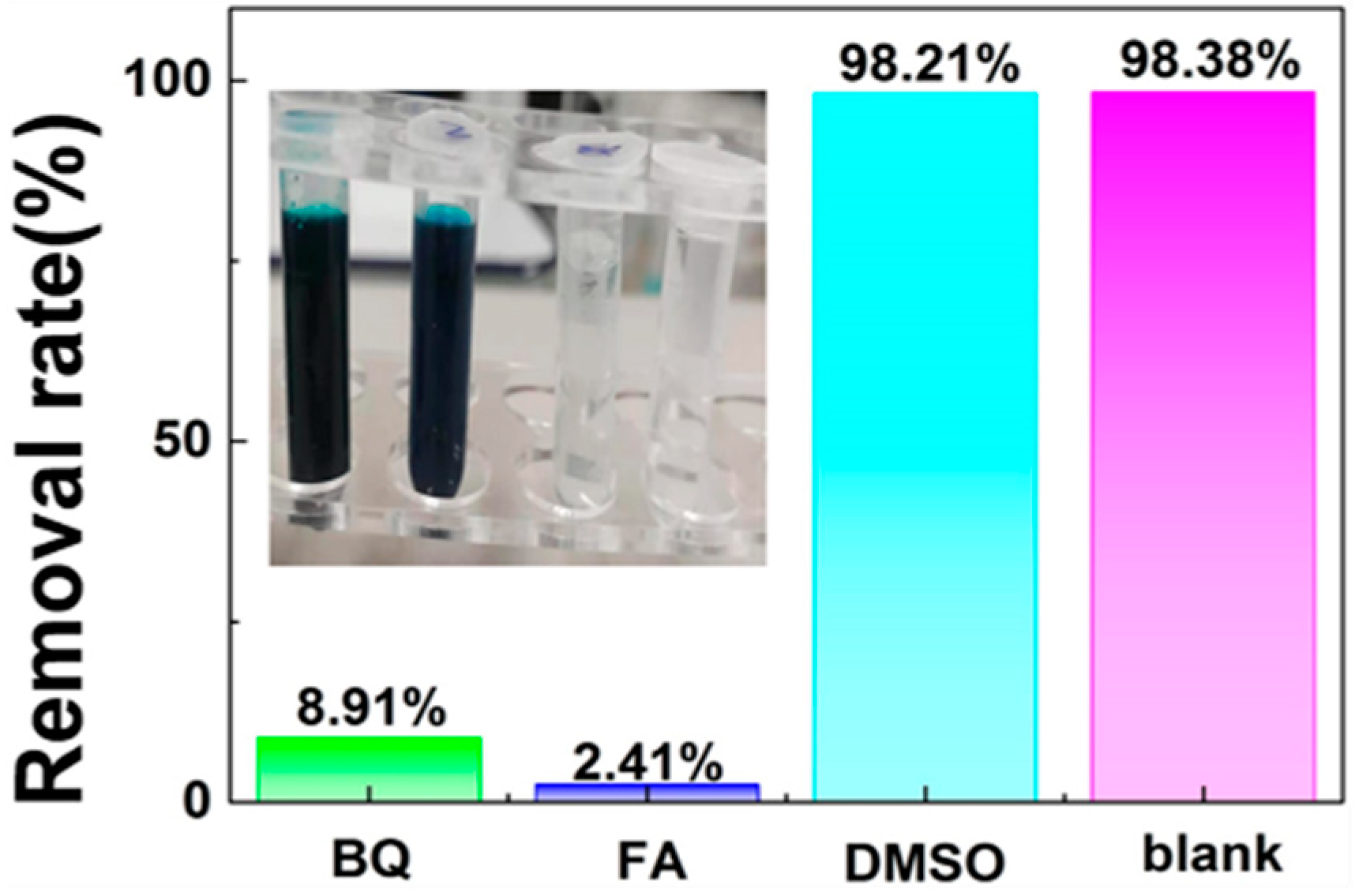 Nanomaterials 11 02479 g010