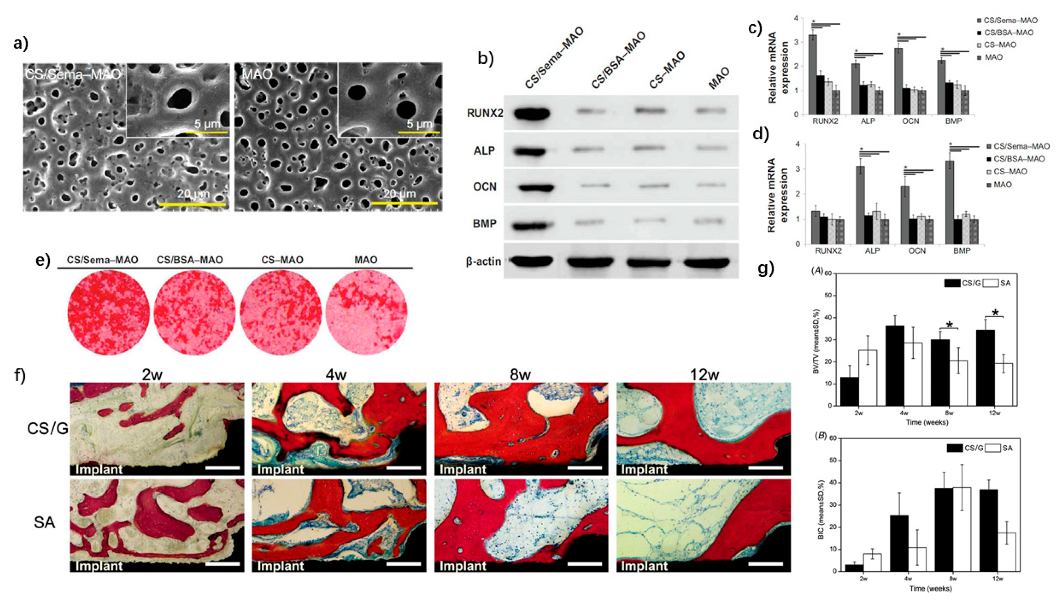 Nanomaterials 11 02489 g003 Nanomaterials 11 02489 g003