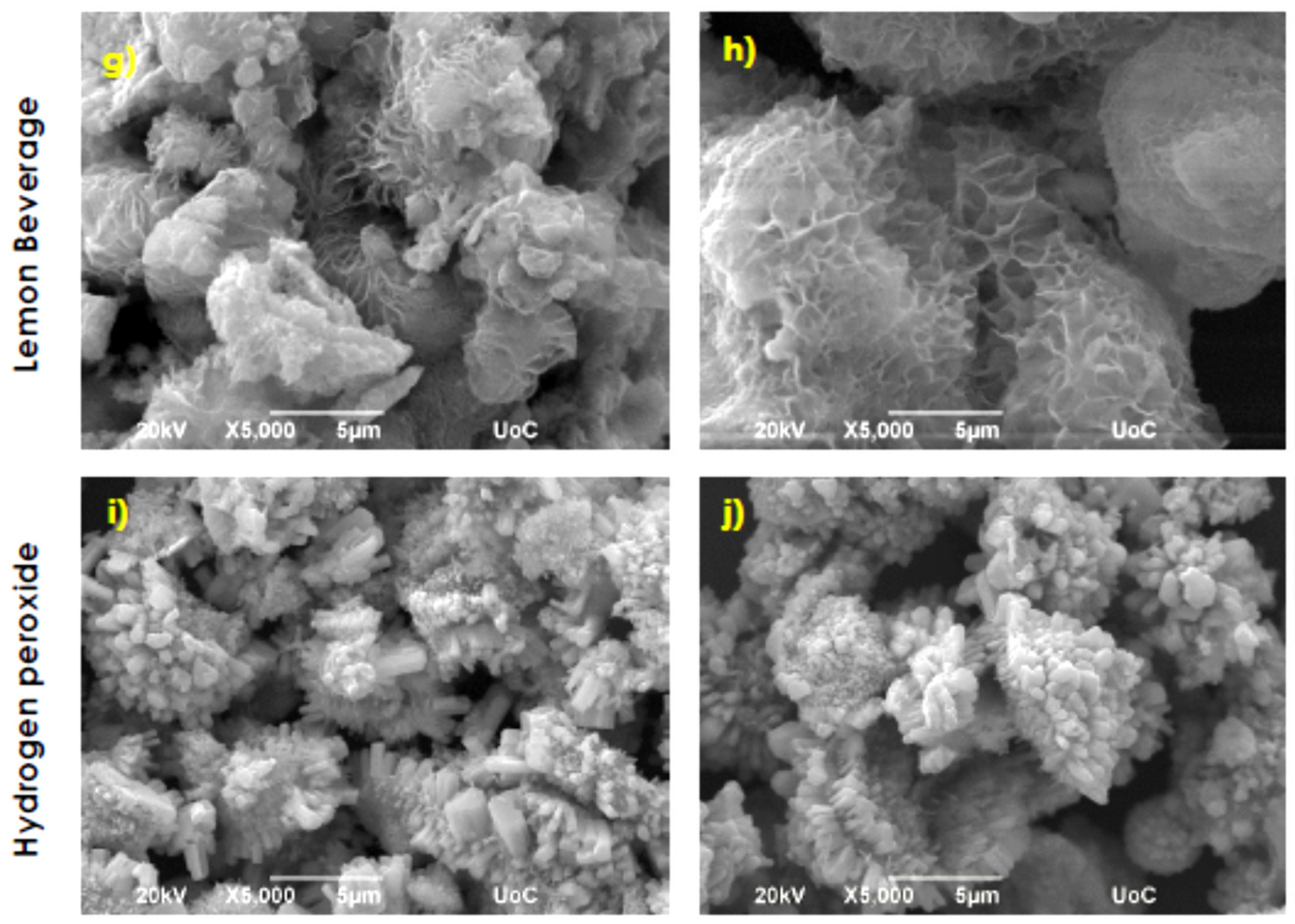 Nanomaterials 11 02490 g006b Nanomaterials 11 02490 g006b