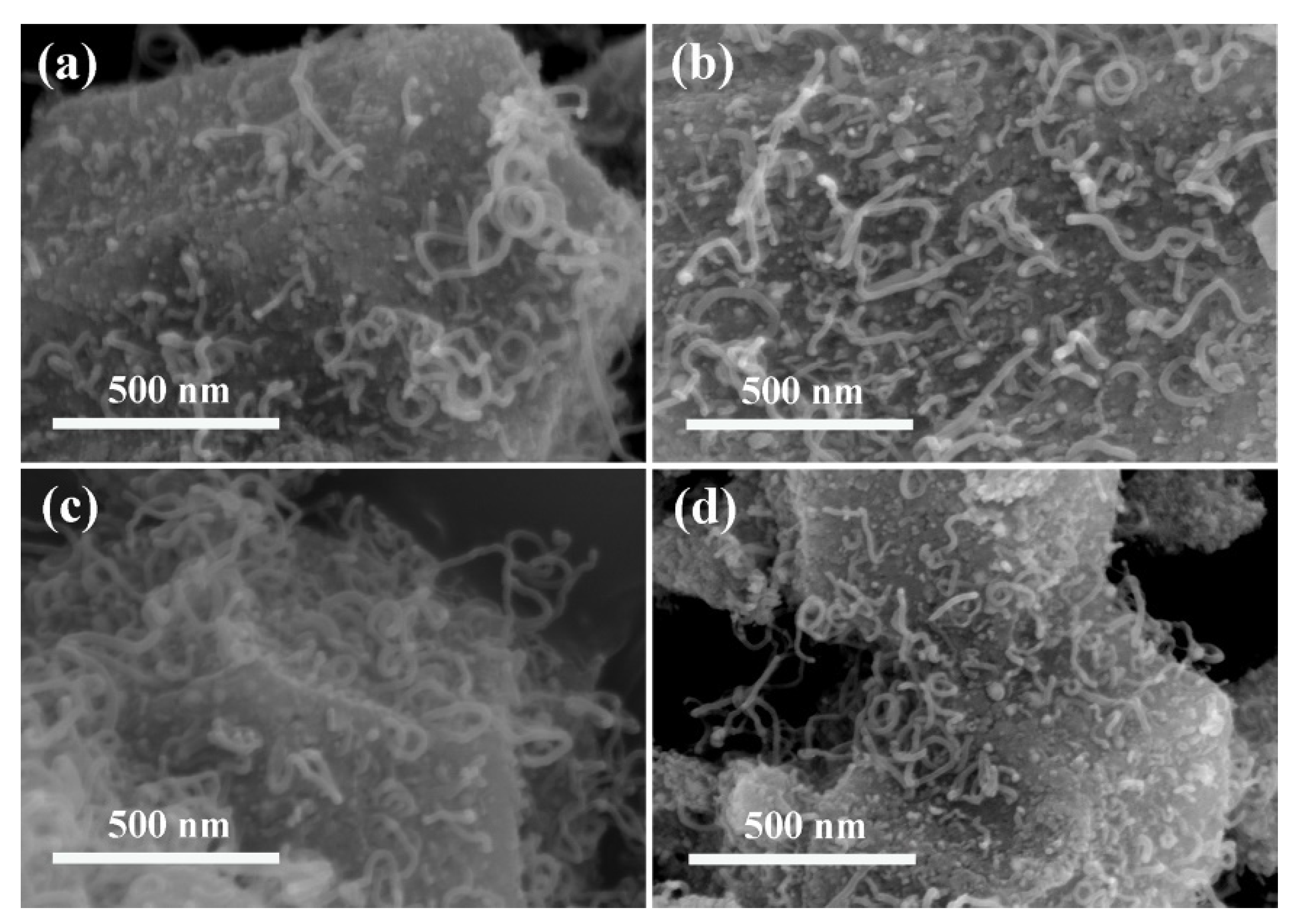 Nanomaterials 11 02491 g002 550