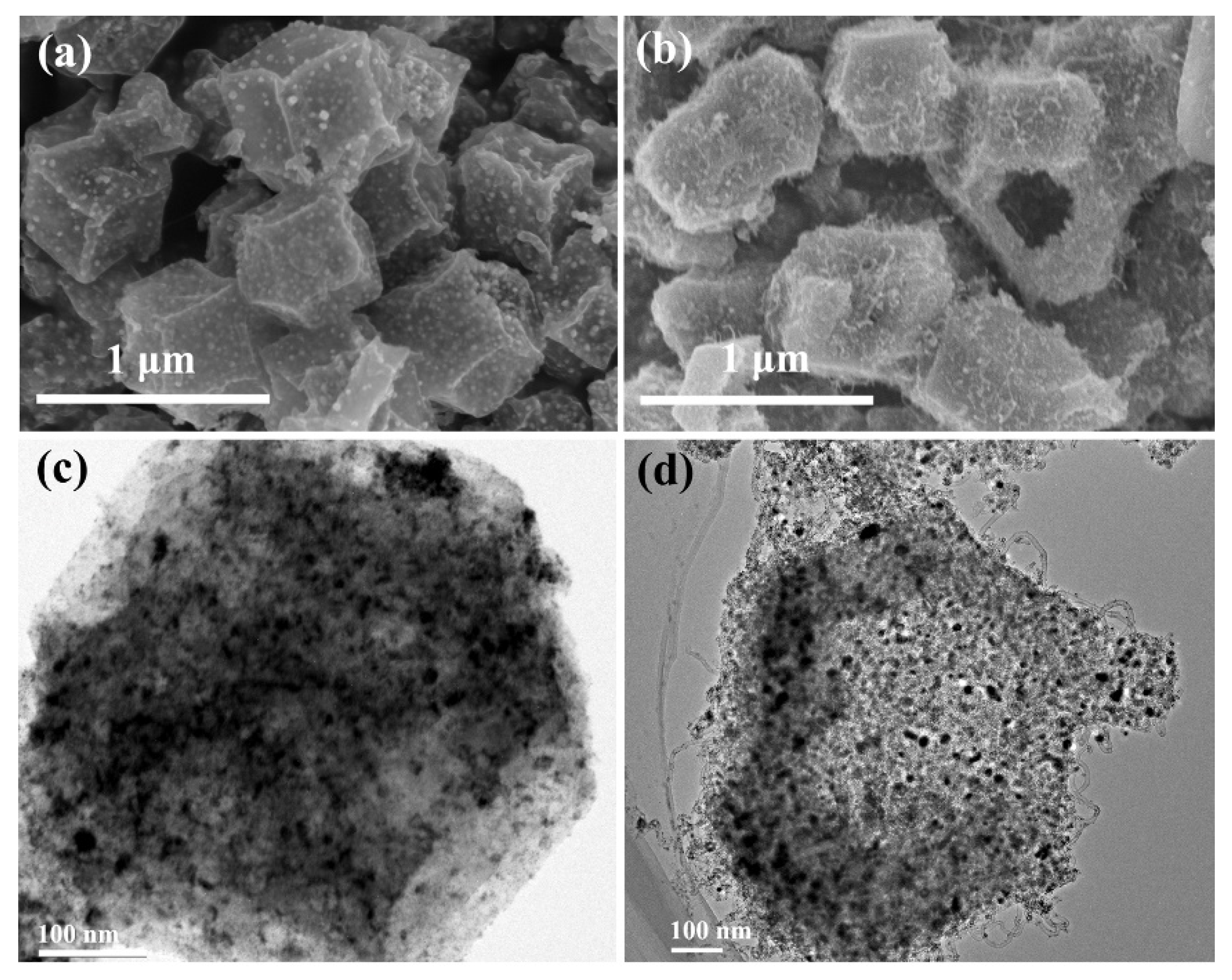 Nanomaterials 11 02491 g003 550