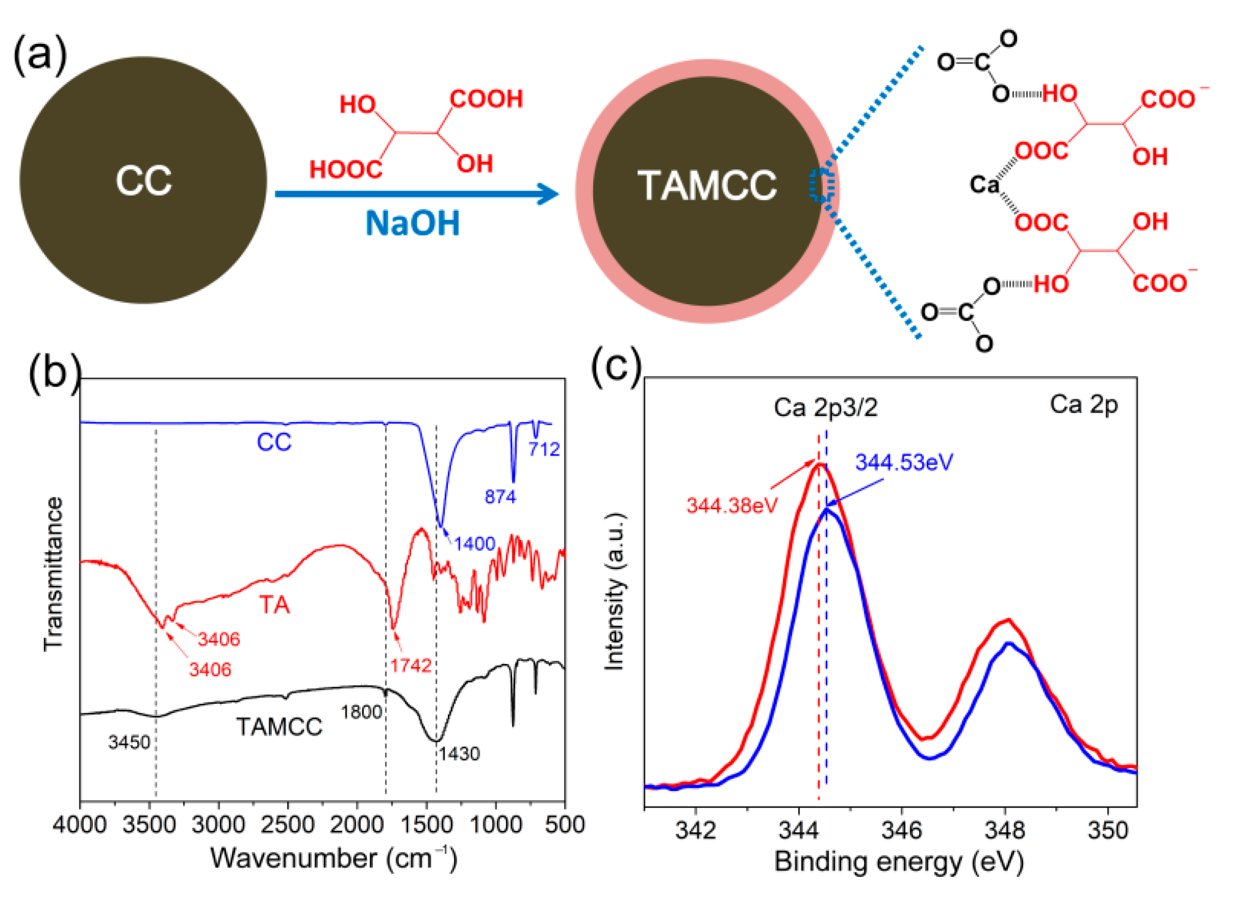 Nanomaterials 11 02493 g002 550