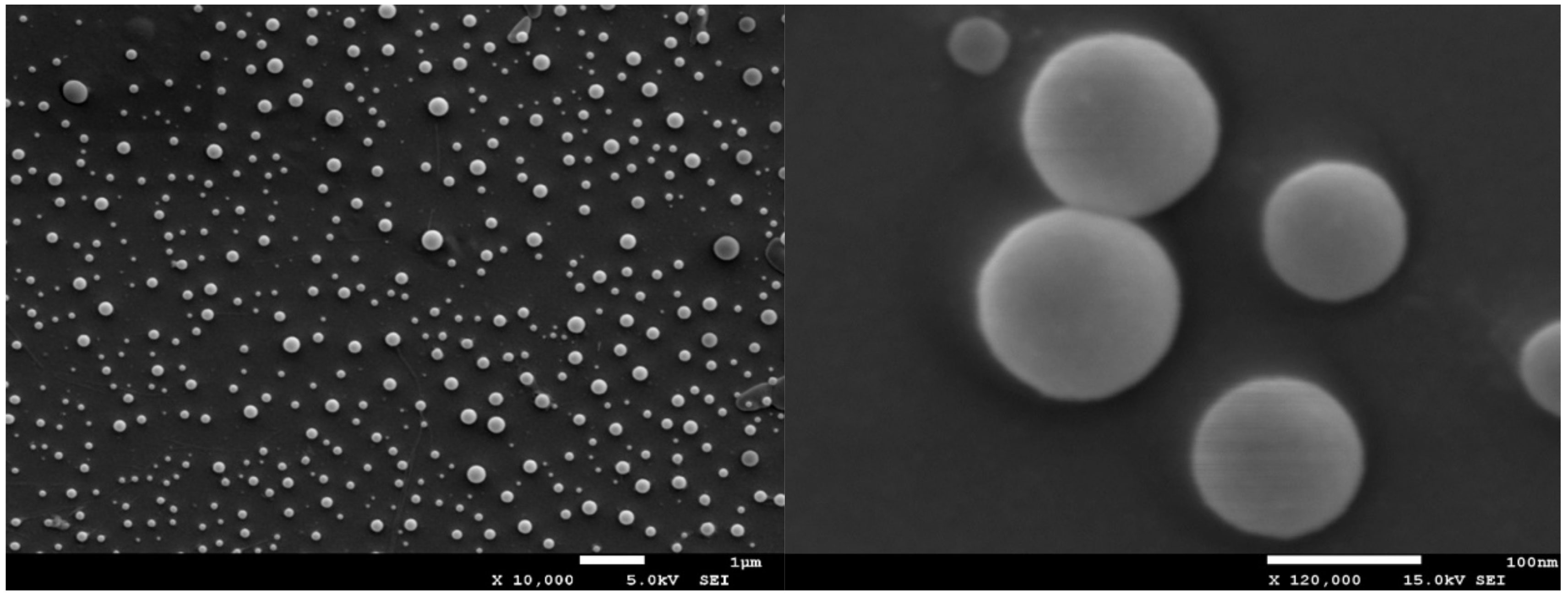 Nanomaterials 11 02495 g001 550