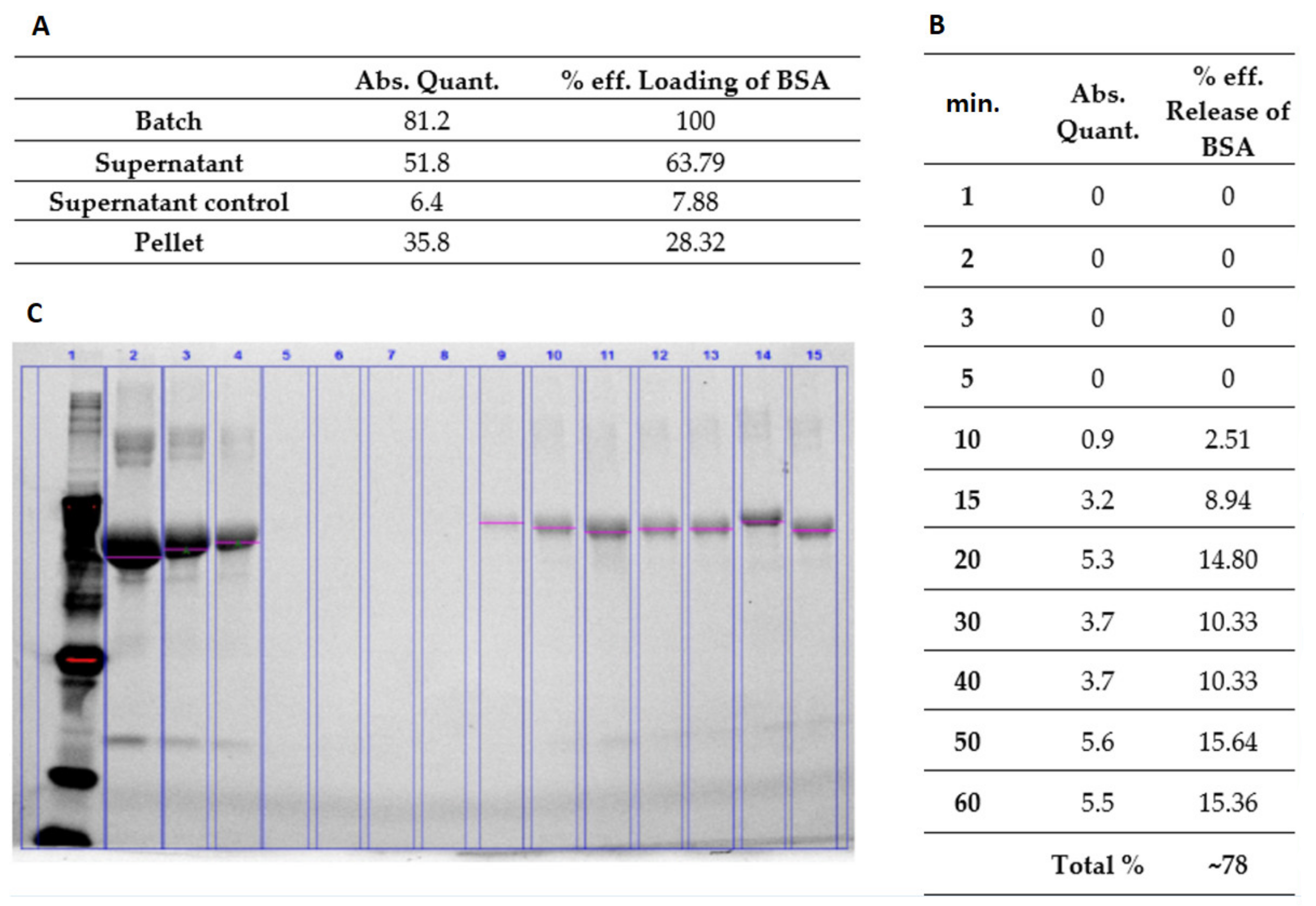 Nanomaterials 11 02495 g004 550