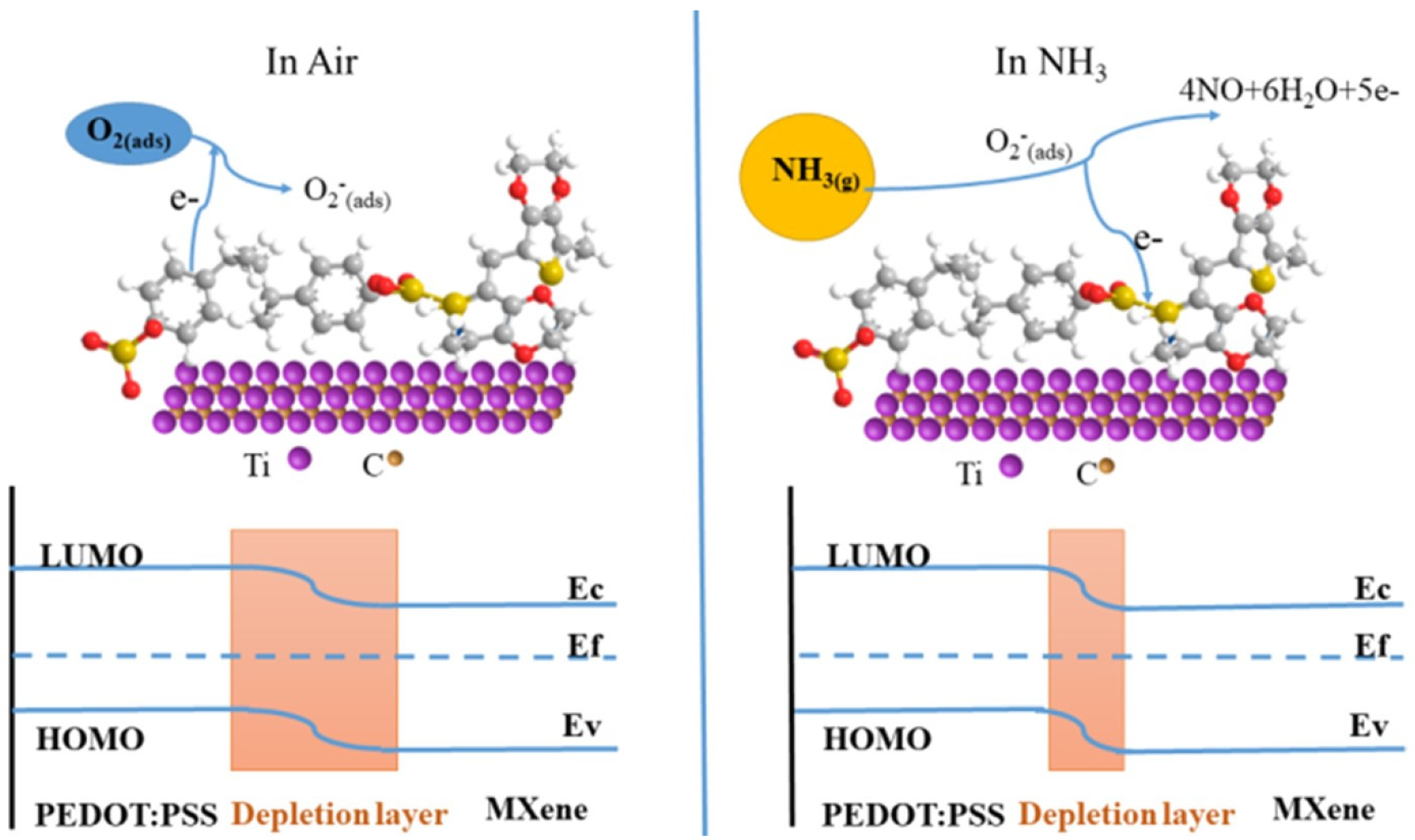 Nanomaterials 11 02496 g012 550
