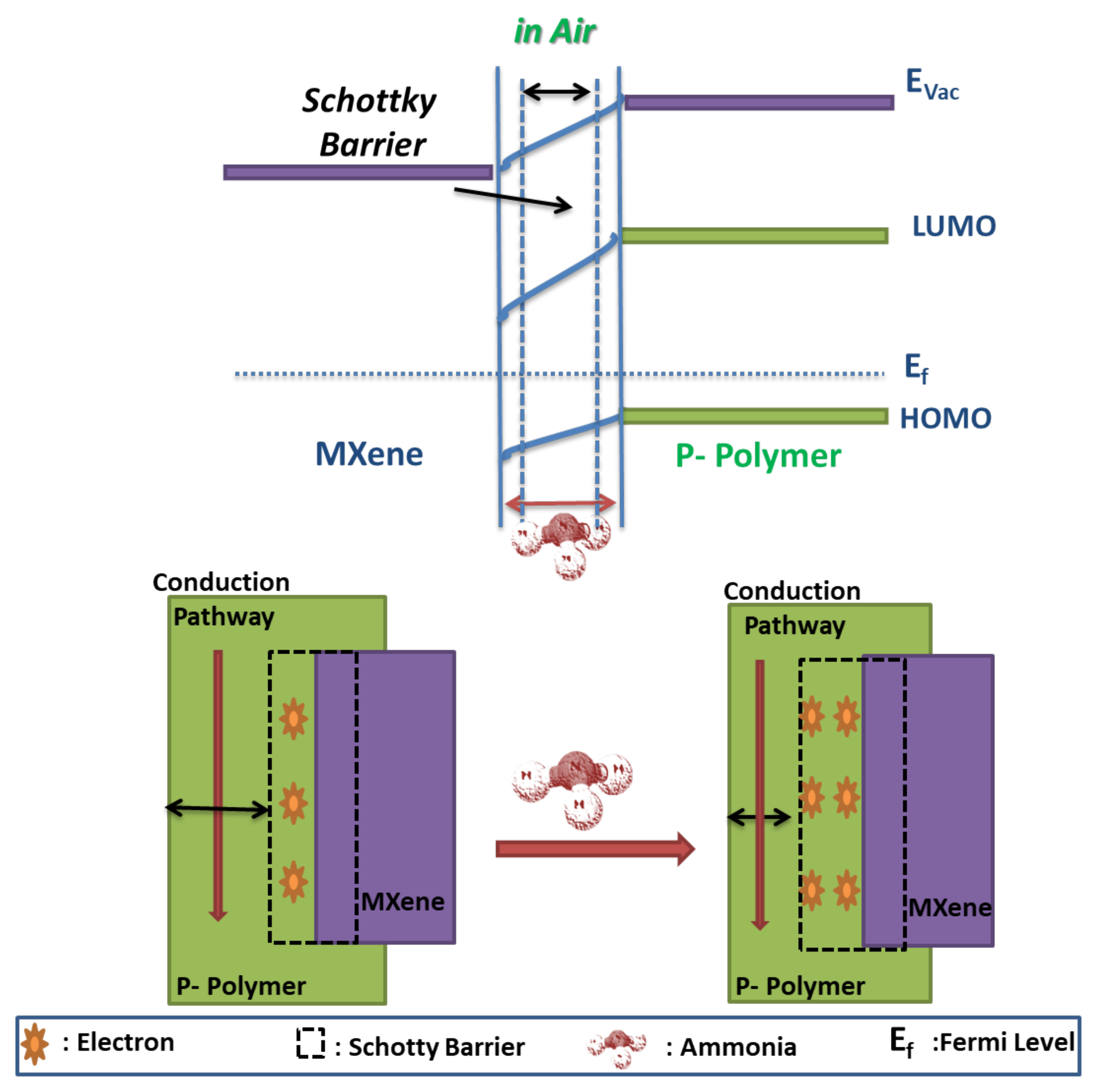 Nanomaterials 11 02496 g013 550