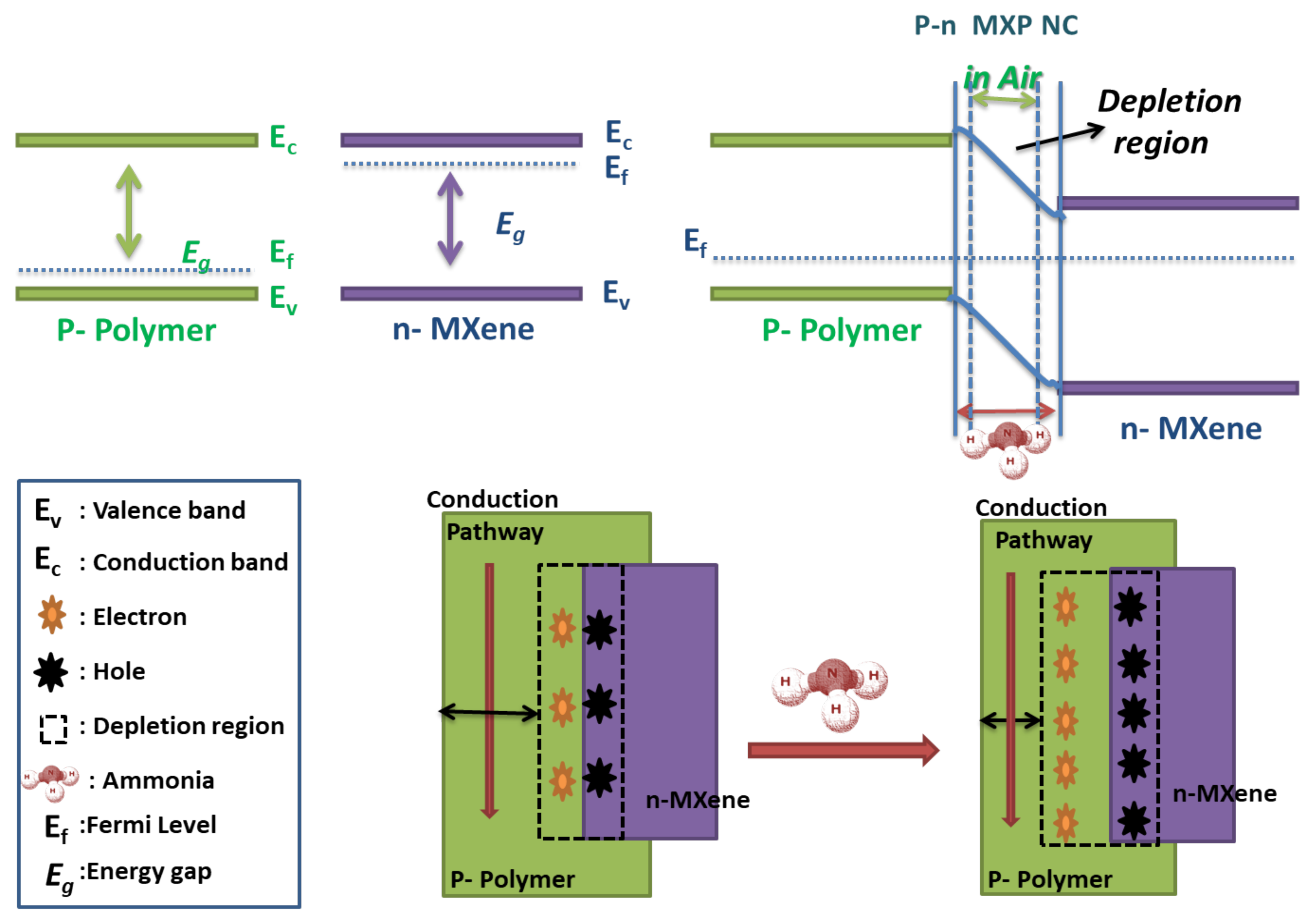 Nanomaterials 11 02496 g014 550