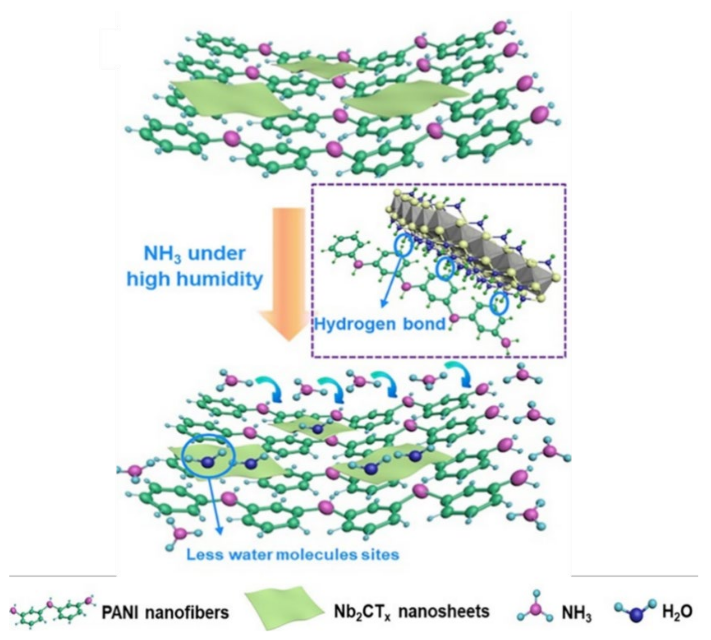 Nanomaterials 11 02496 g016 550