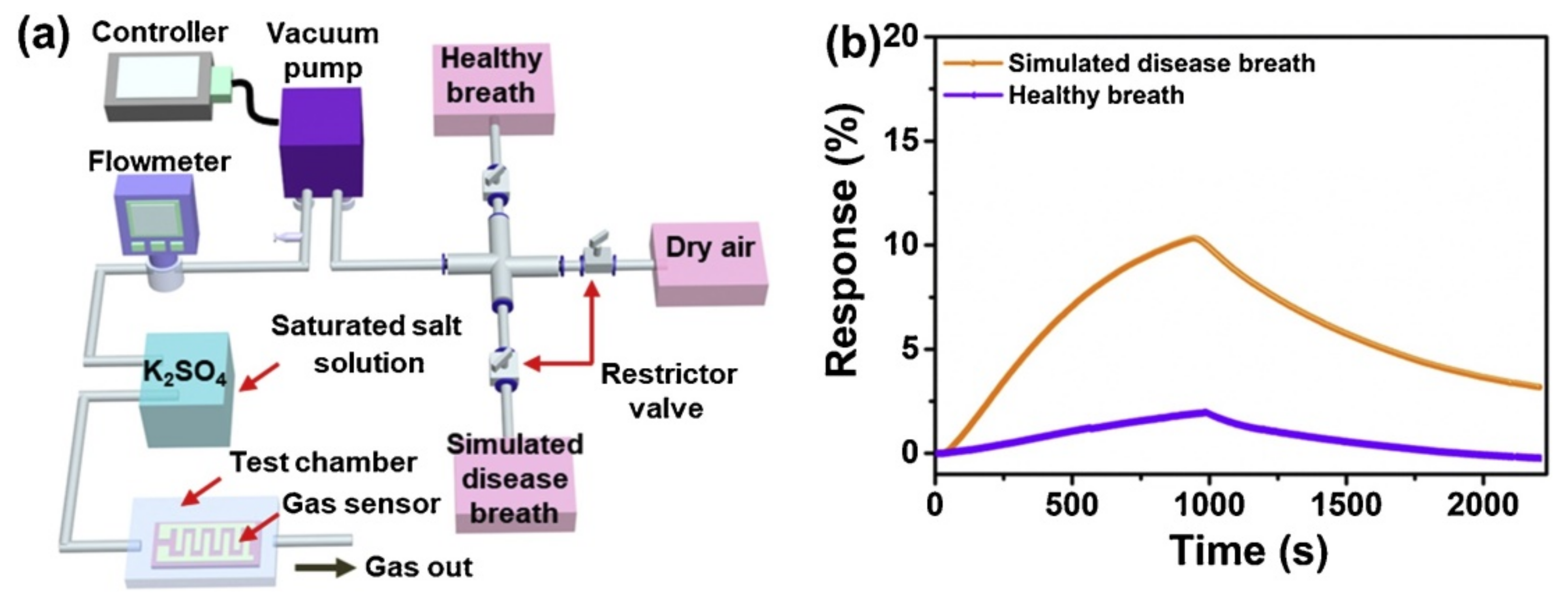 Nanomaterials 11 02496 g017 550