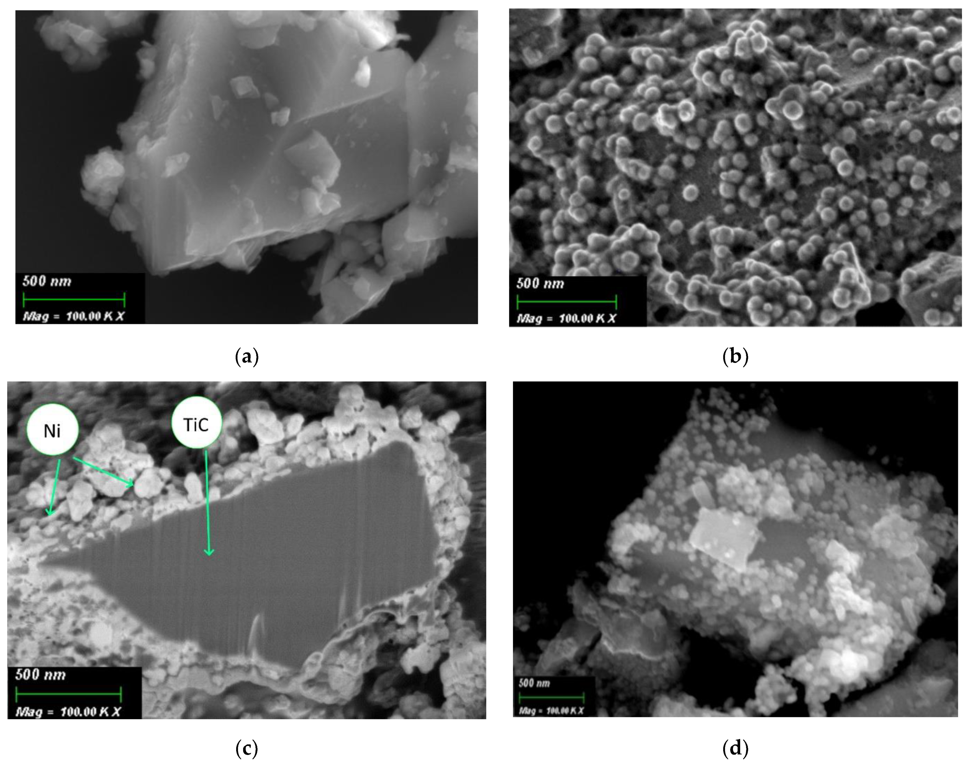 Nanomaterials 11 02499 g001