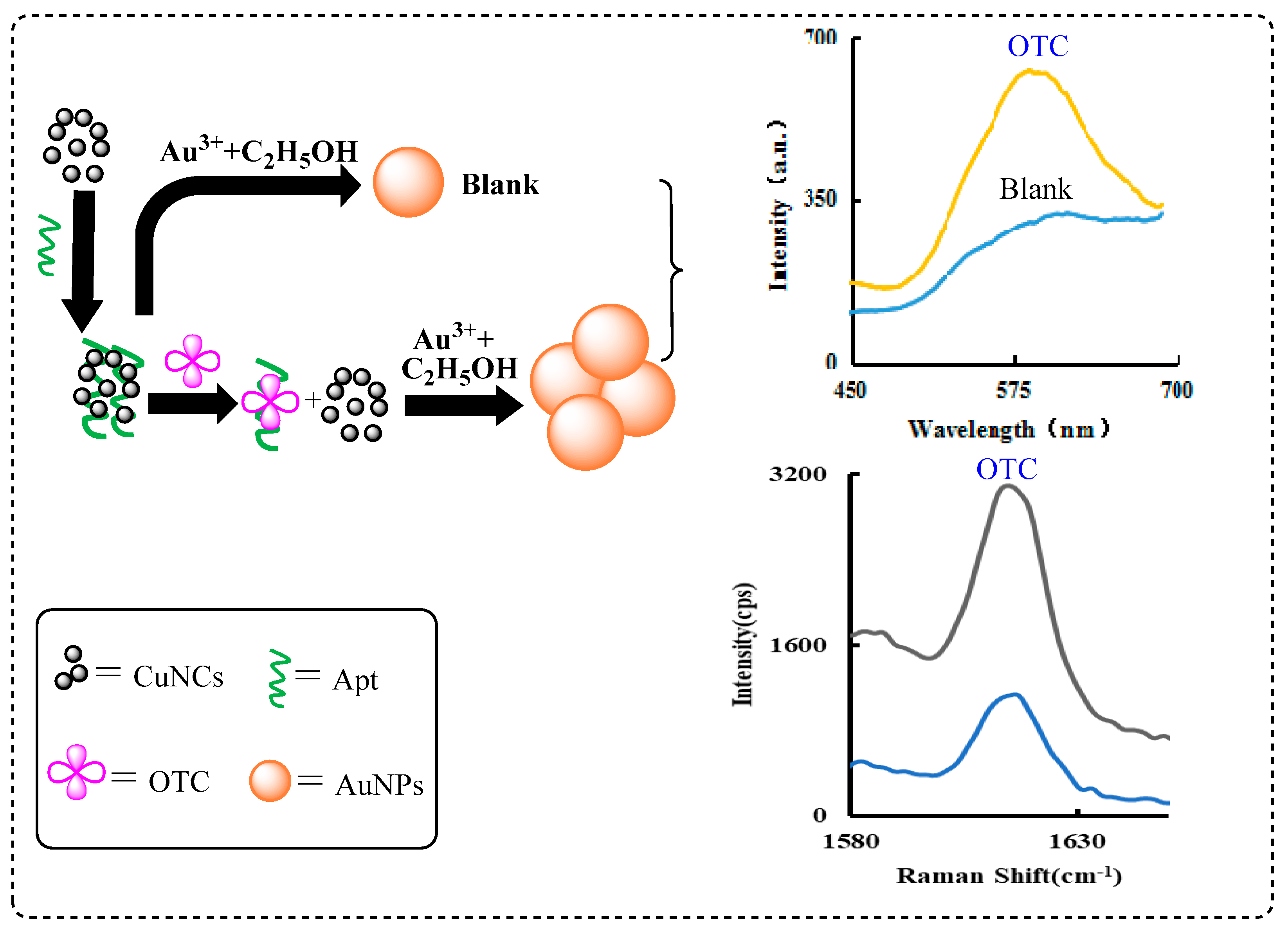 Nanomaterials 11 02501 g001