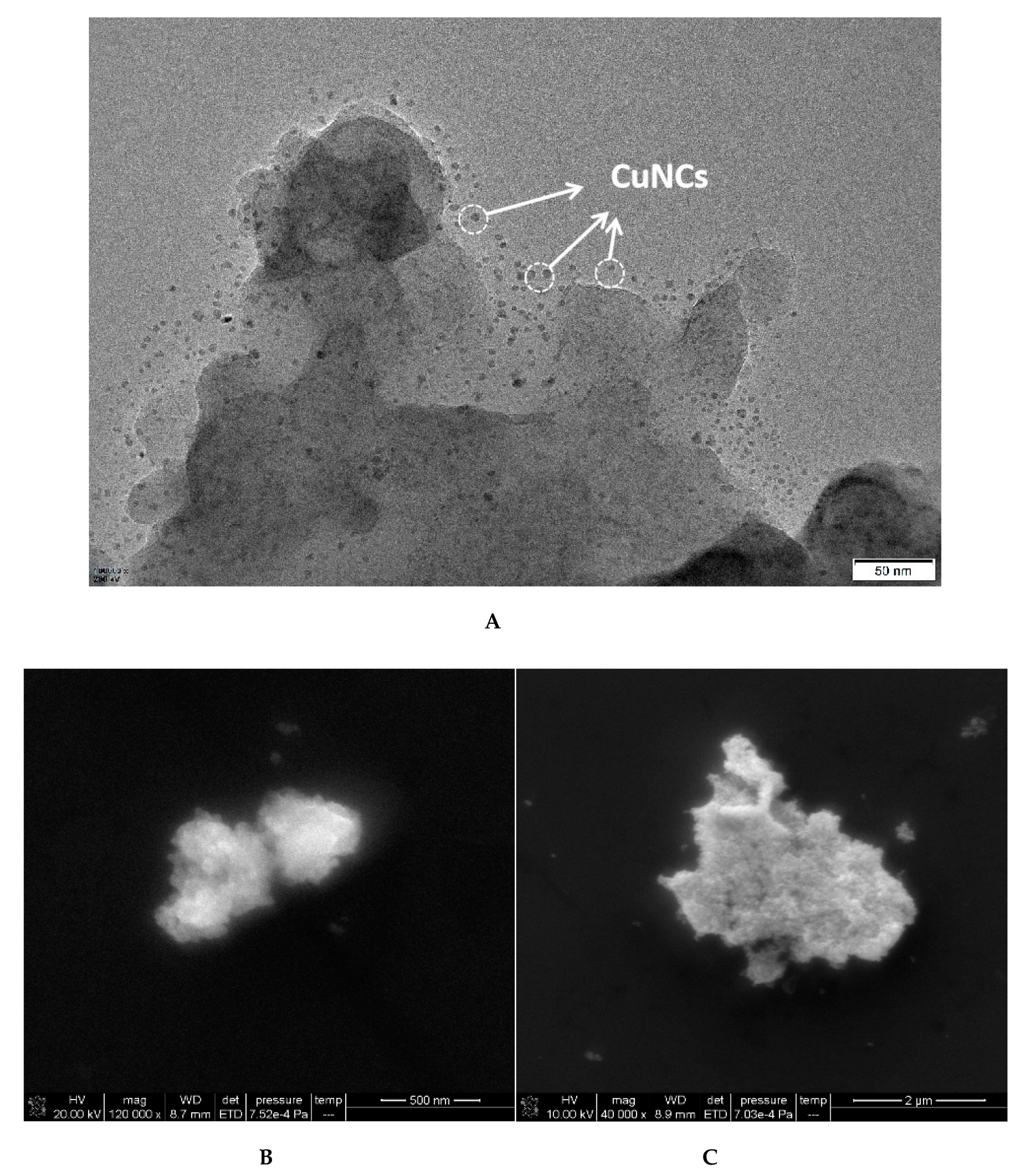 Nanomaterials 11 02501 g002