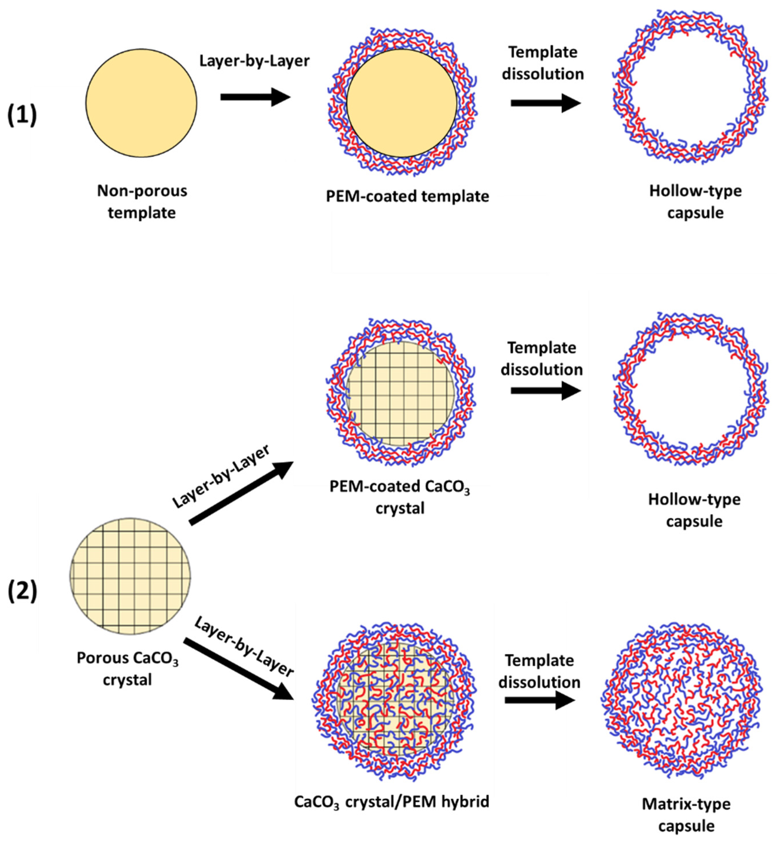 Nanomaterials 11 02502 g002 550