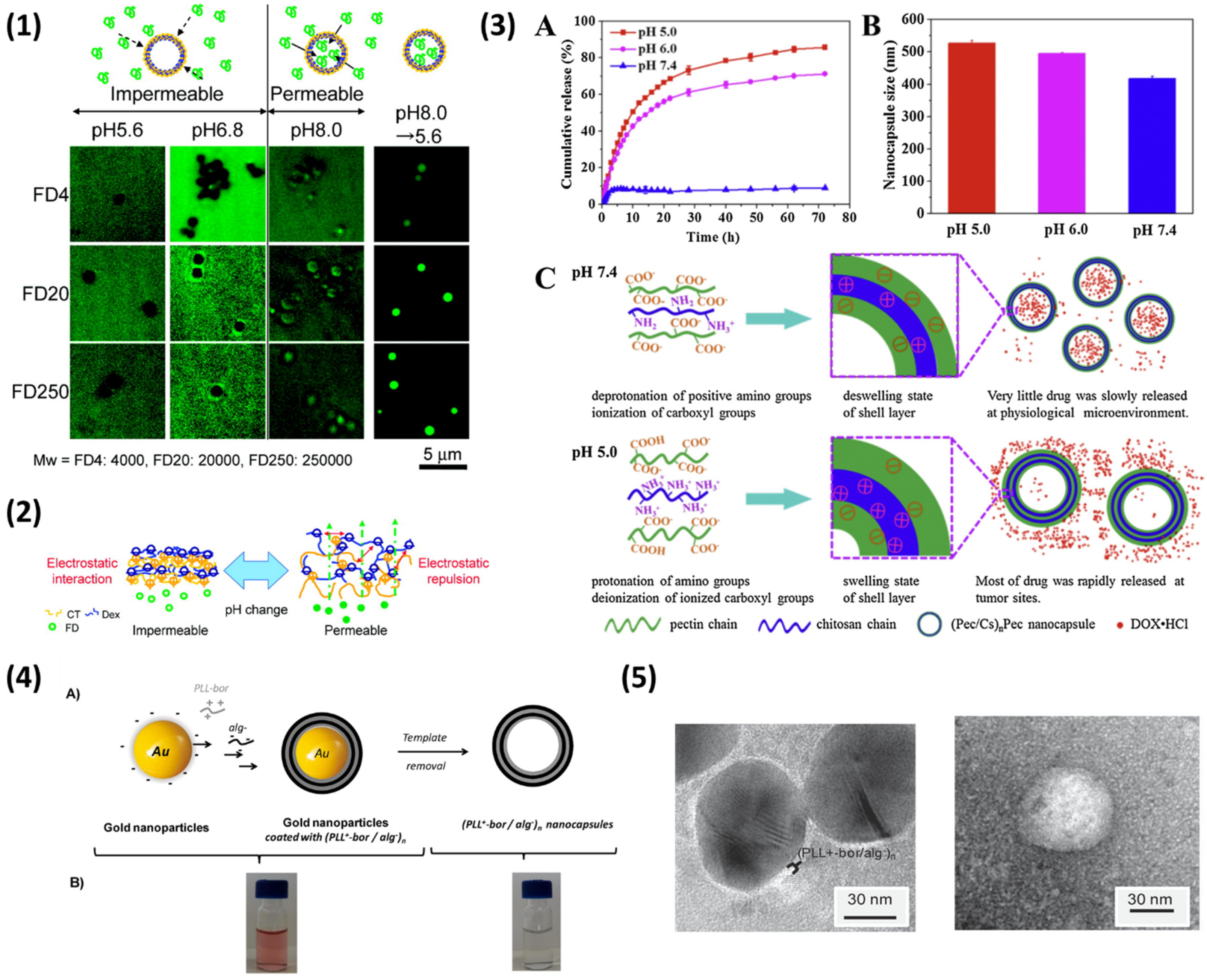 Nanomaterials 11 02502 g003 550