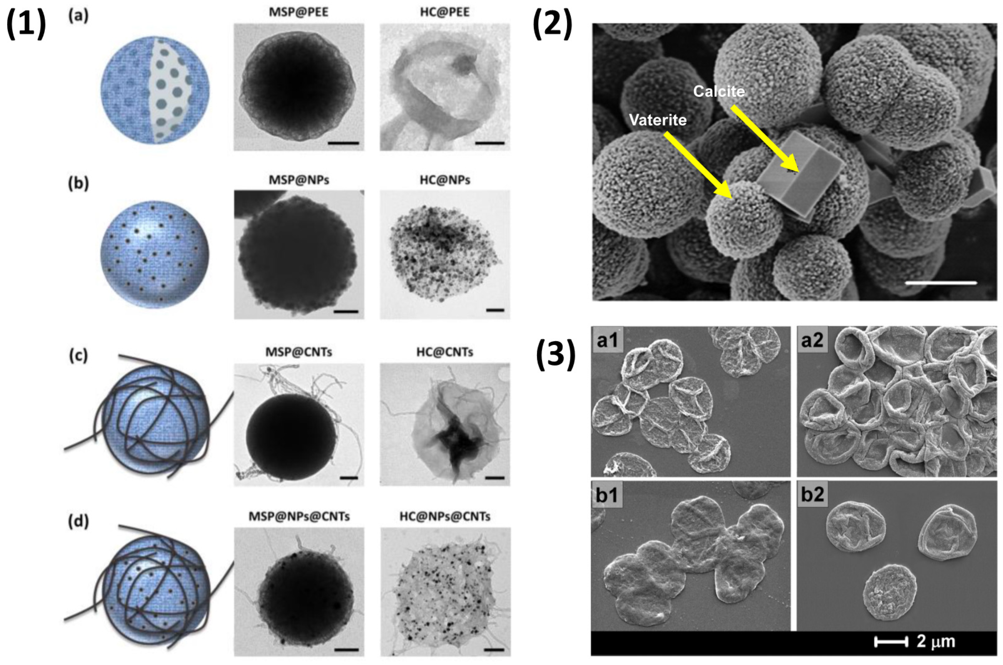 Nanomaterials 11 02502 g004 550