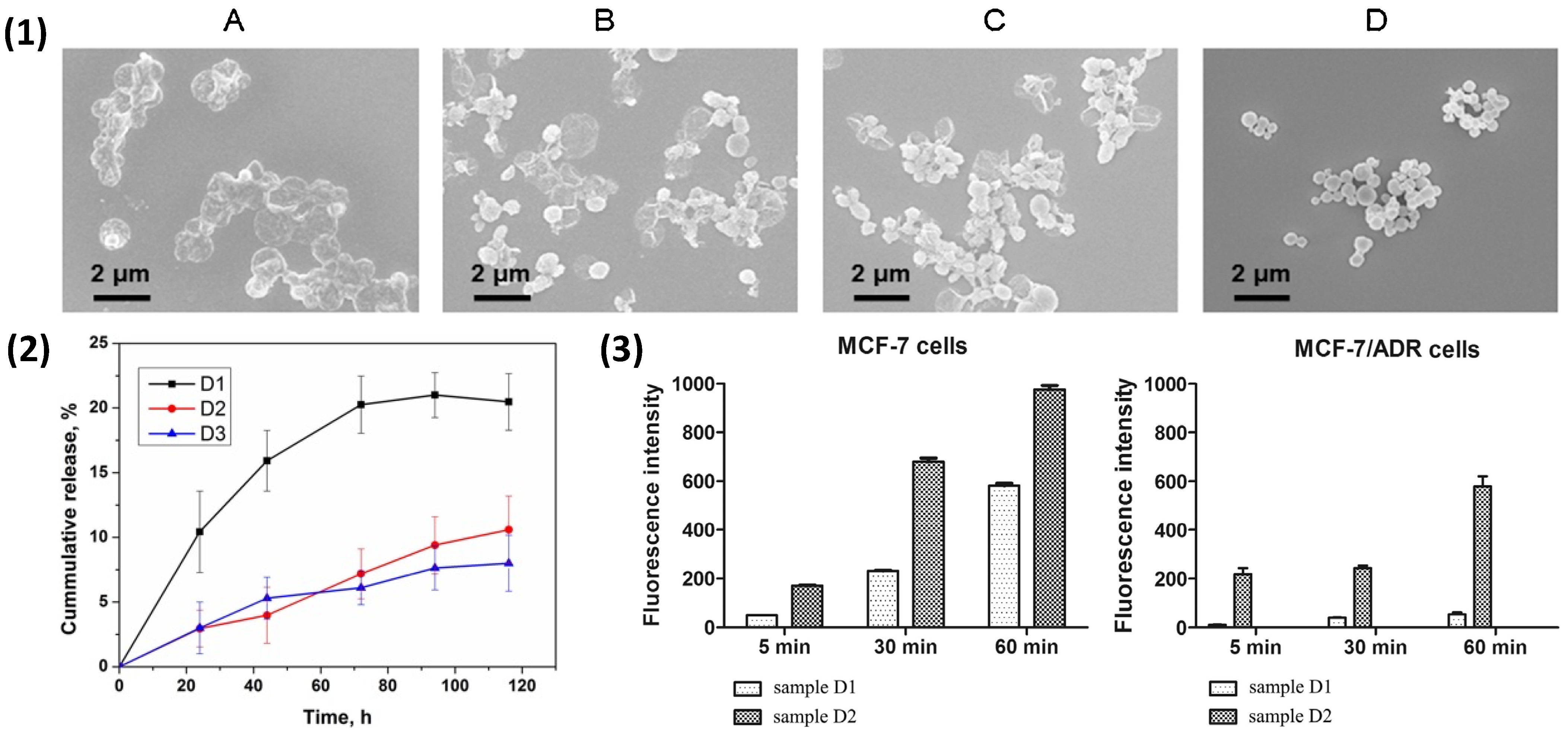 Nanomaterials 11 02502 g007 550