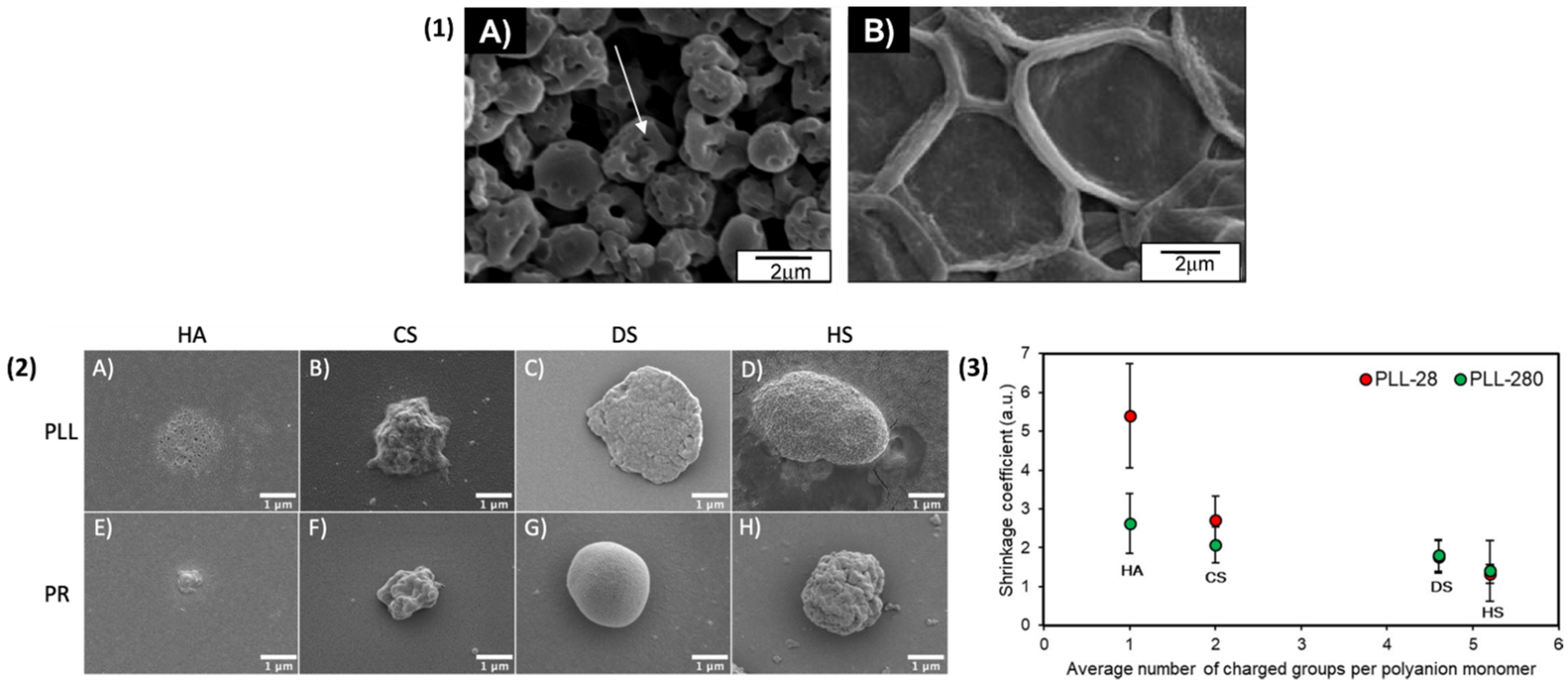 Nanomaterials 11 02502 g008 550