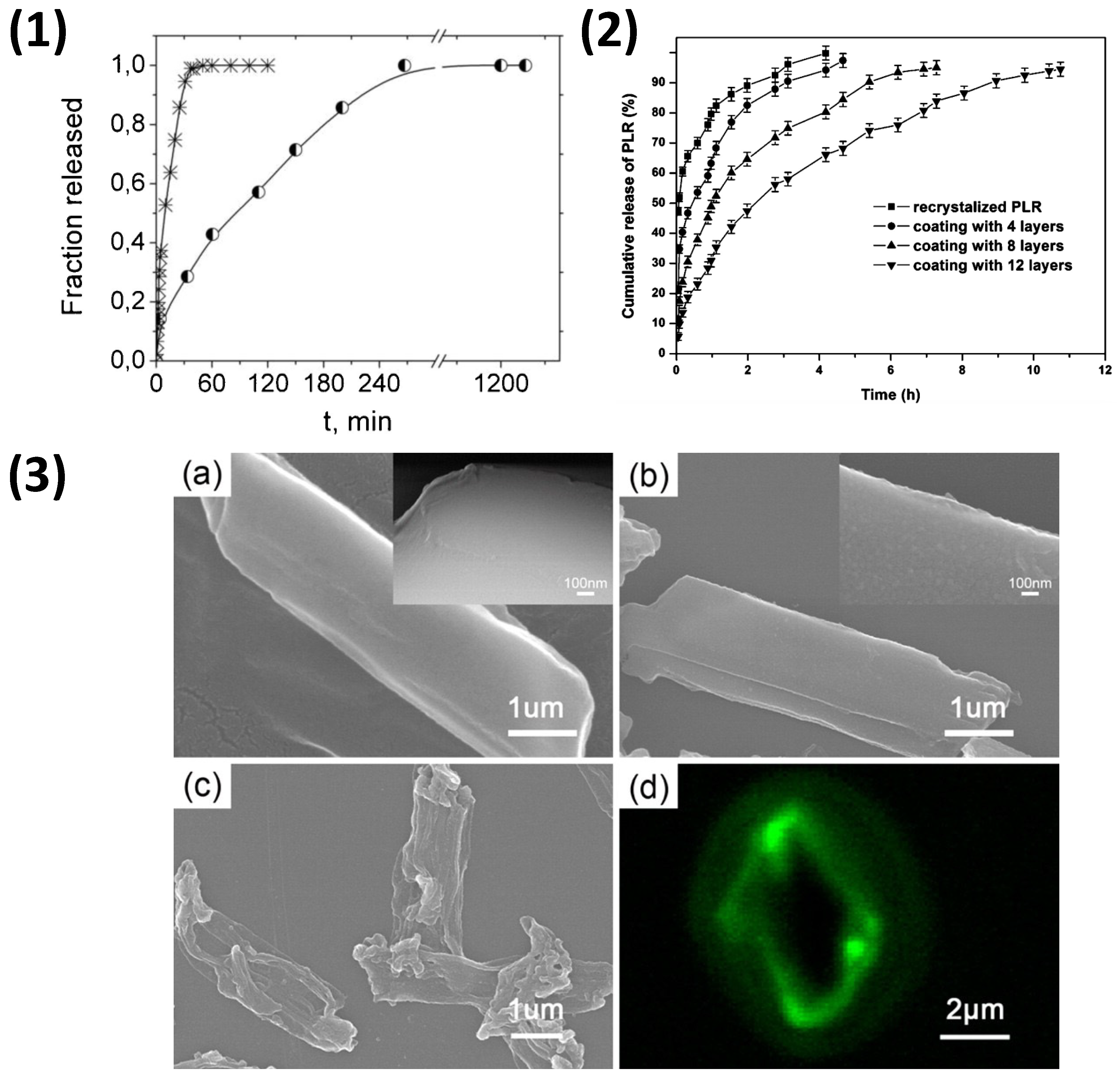 Nanomaterials 11 02502 g012 550