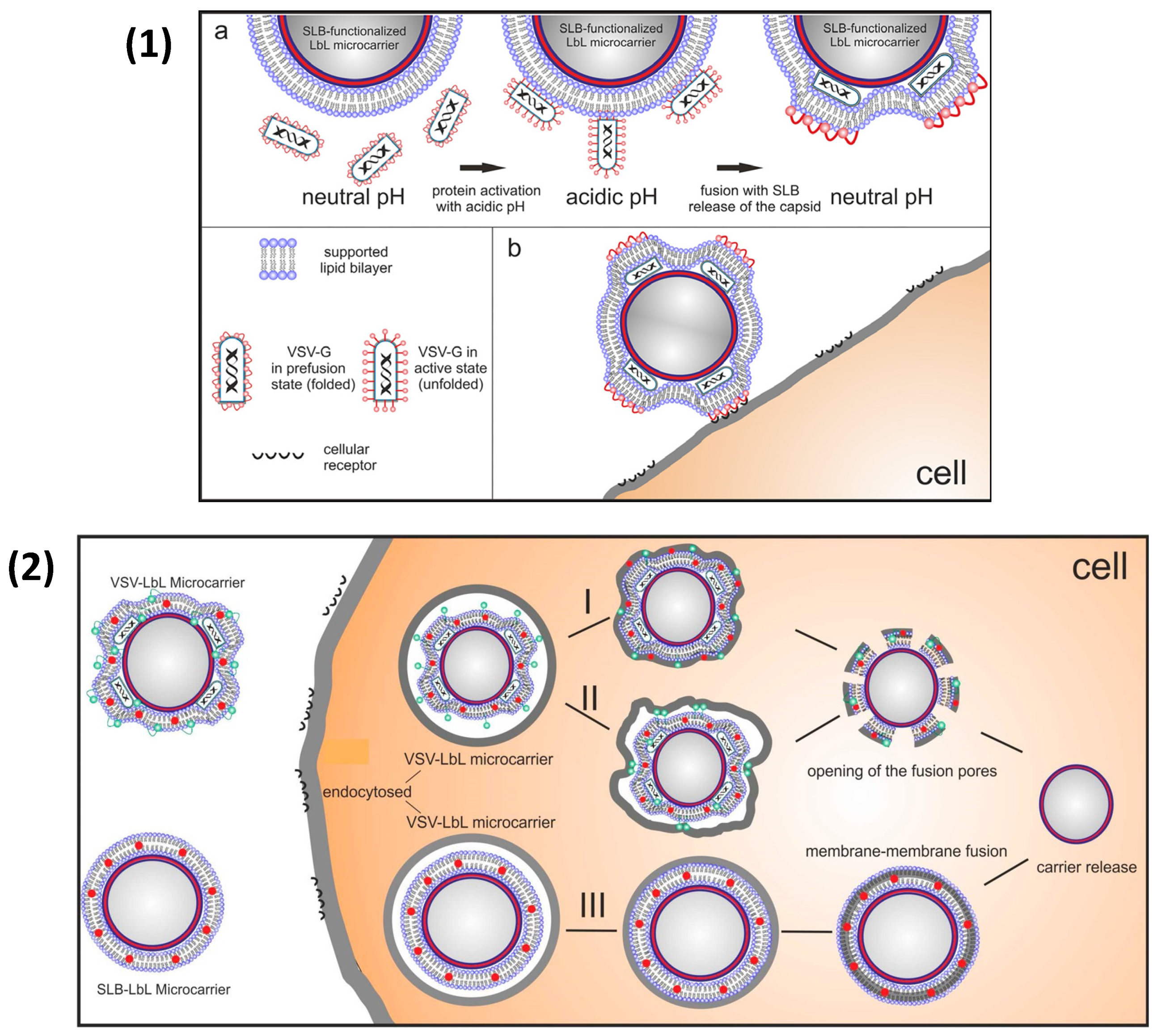 Nanomaterials 11 02502 g014 550